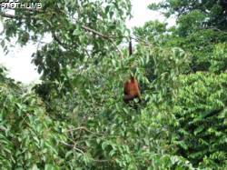 DSCF0698.JPG
6,983.76 KB
4608 x 3456
6/2/14