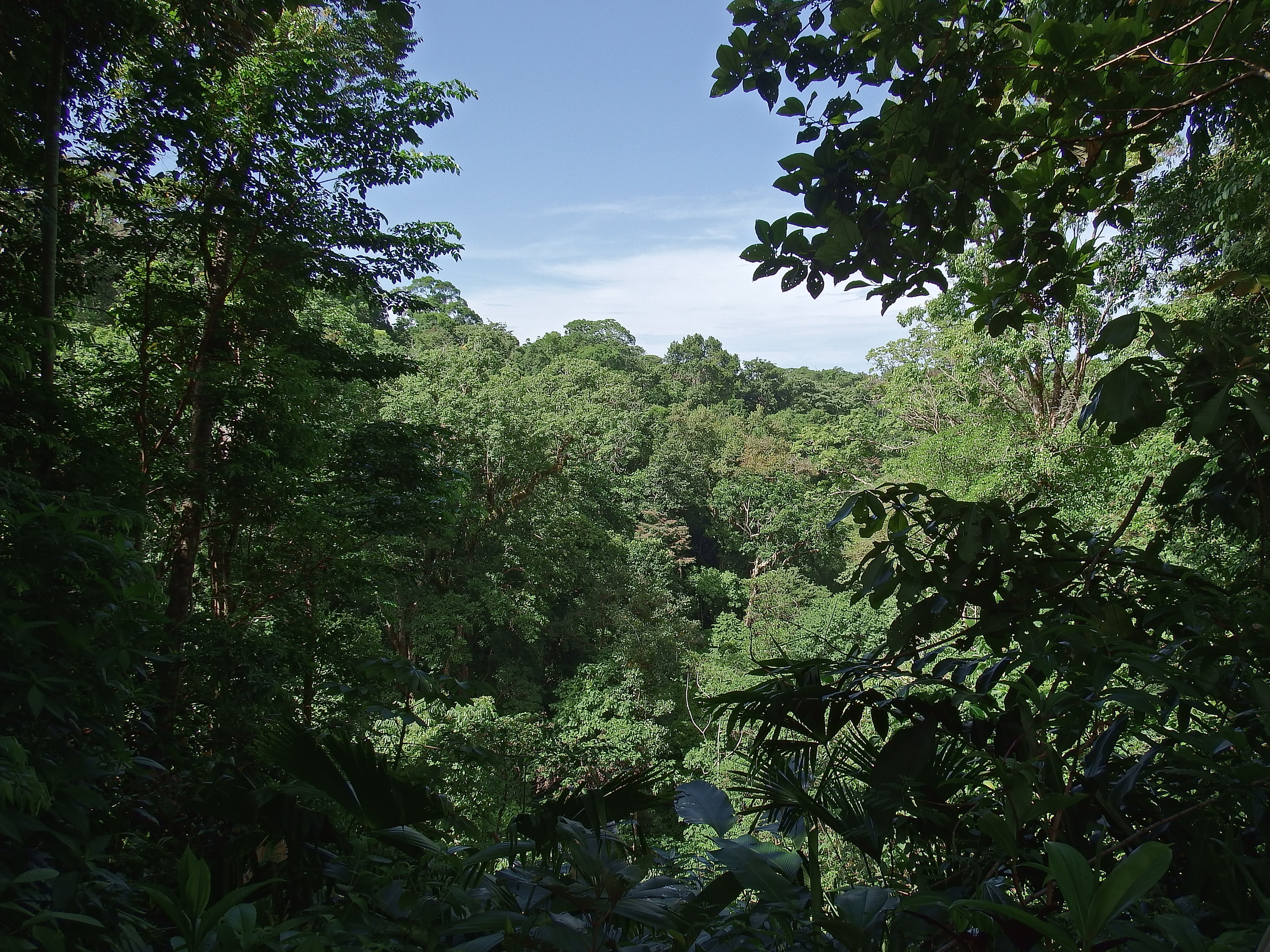 DSCF0721.JPG\n6,916.86 KB \n4608 x 3456 \n6/2/14\n