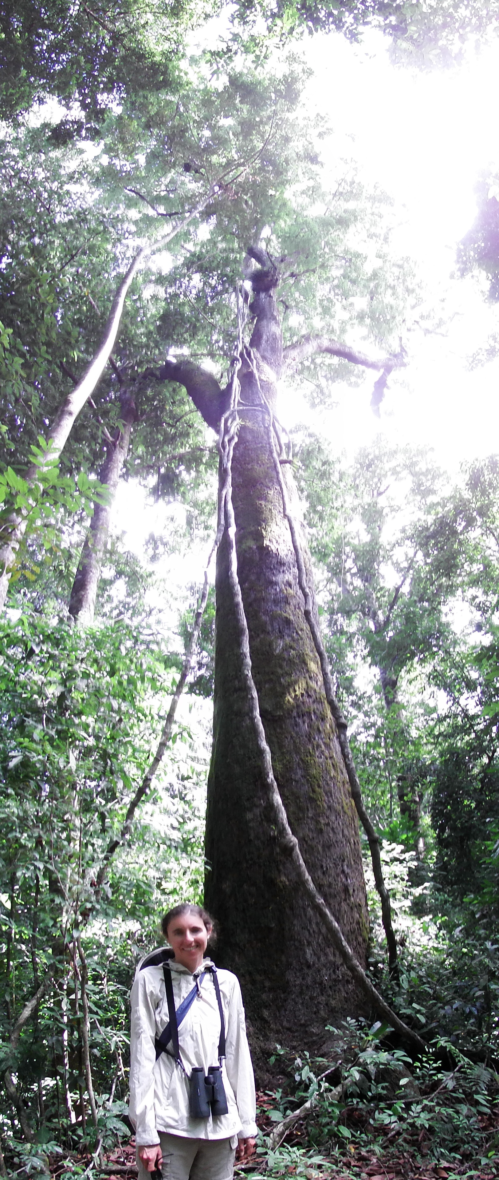 DSCF0724a.JPG\n2,433.97 KB \n1624 x 3840 \n6/20/14\n