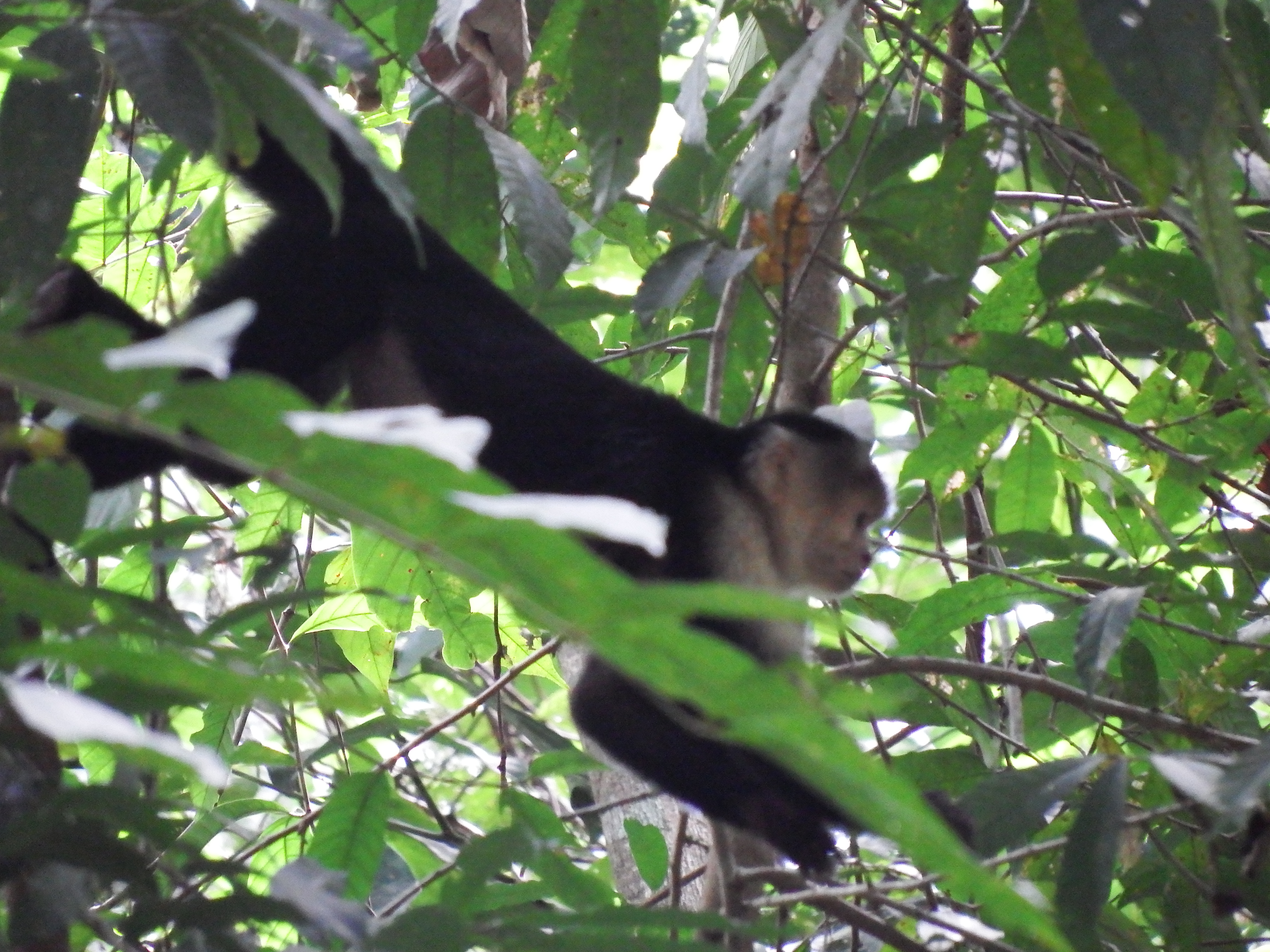 DSCF0741.JPG\n6,633.16 KB \n4608 x 3456 \n6/2/14\n