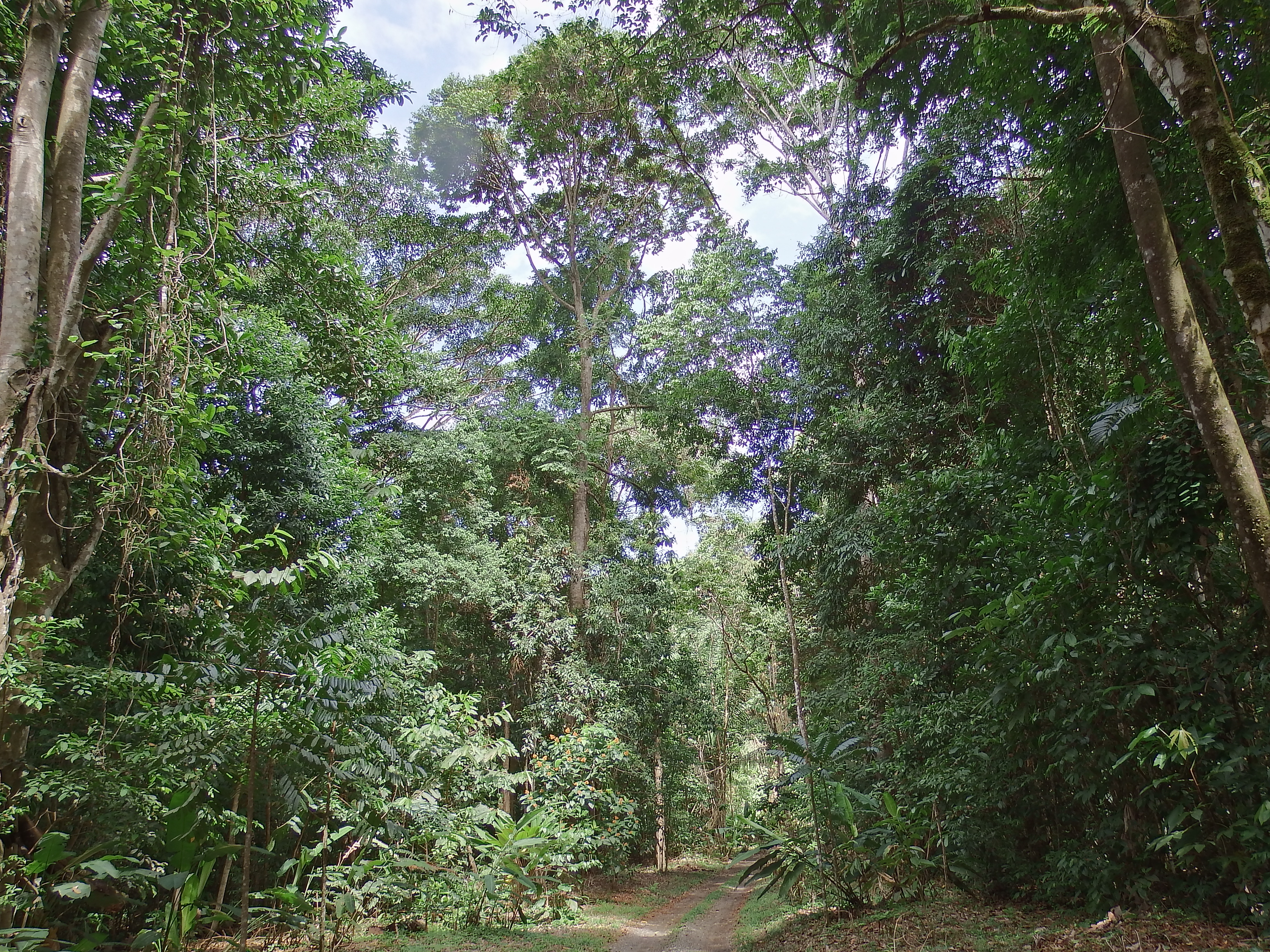 DSCF0756.JPG\n7,274.96 KB \n4608 x 3456 \n6/2/14\n