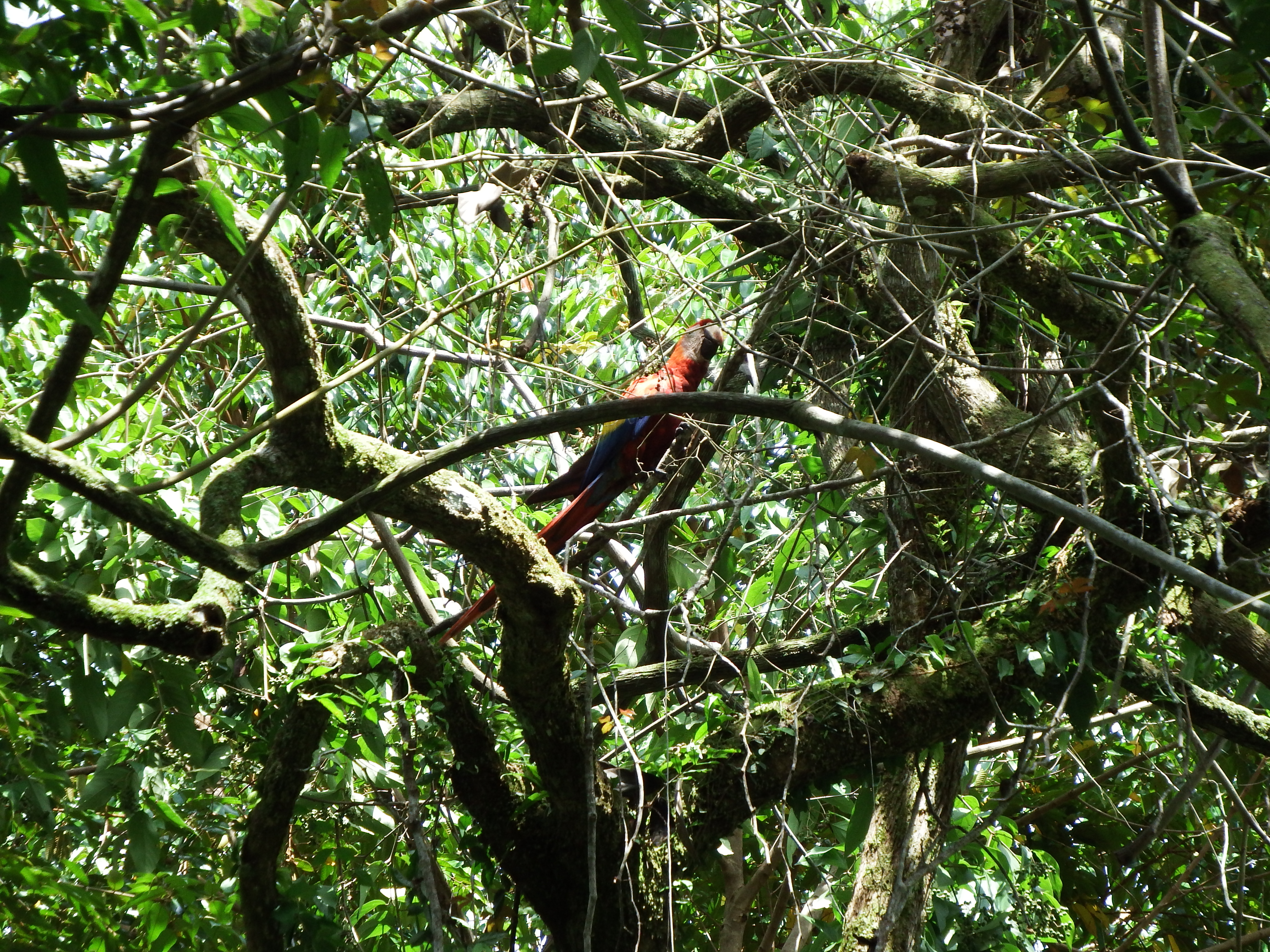 DSCF0760.JPG\n6,755.68 KB \n4608 x 3456 \n6/2/14\n