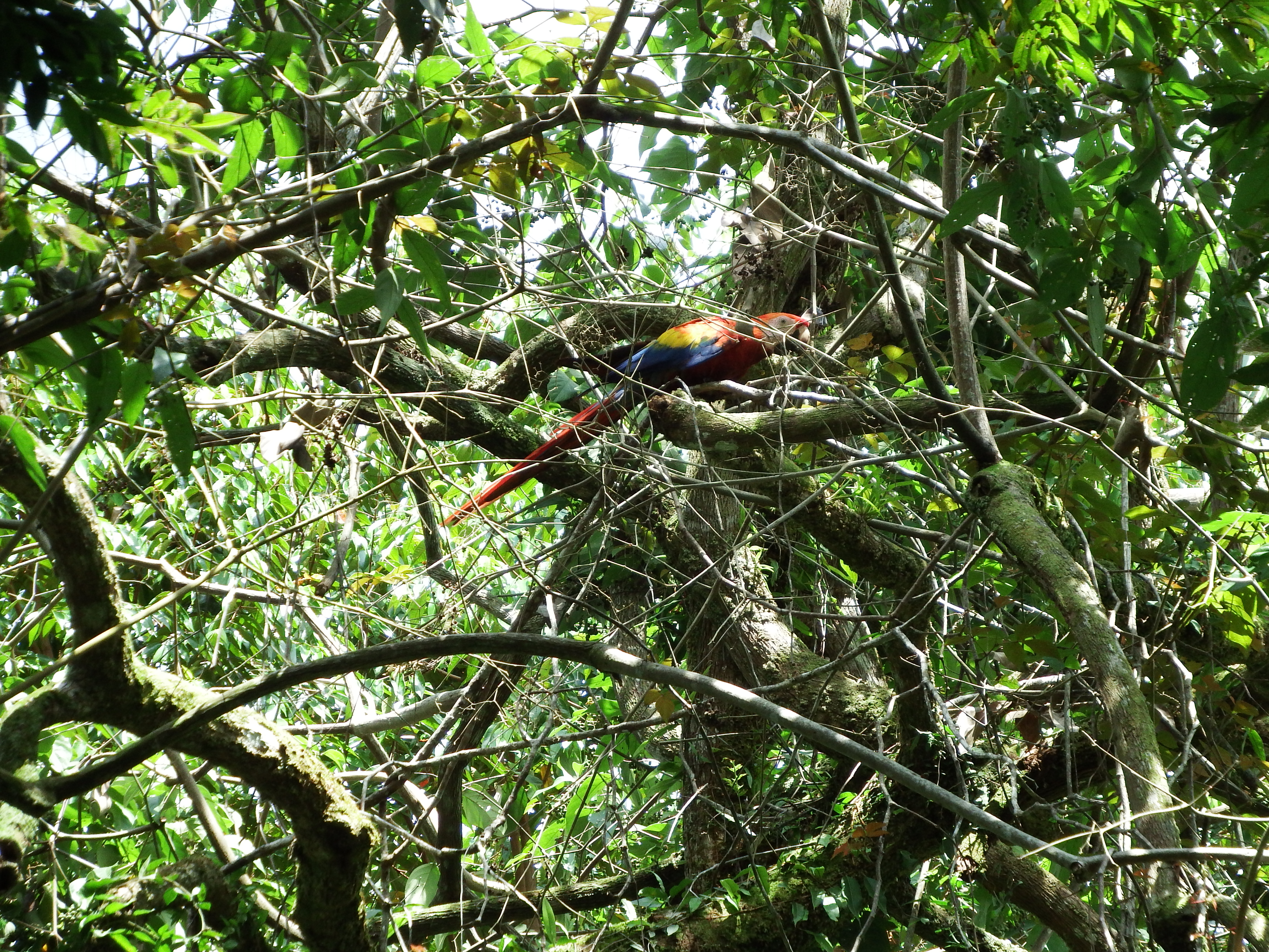 DSCF0762.JPG\n6,792.24 KB \n4608 x 3456 \n6/2/14\n