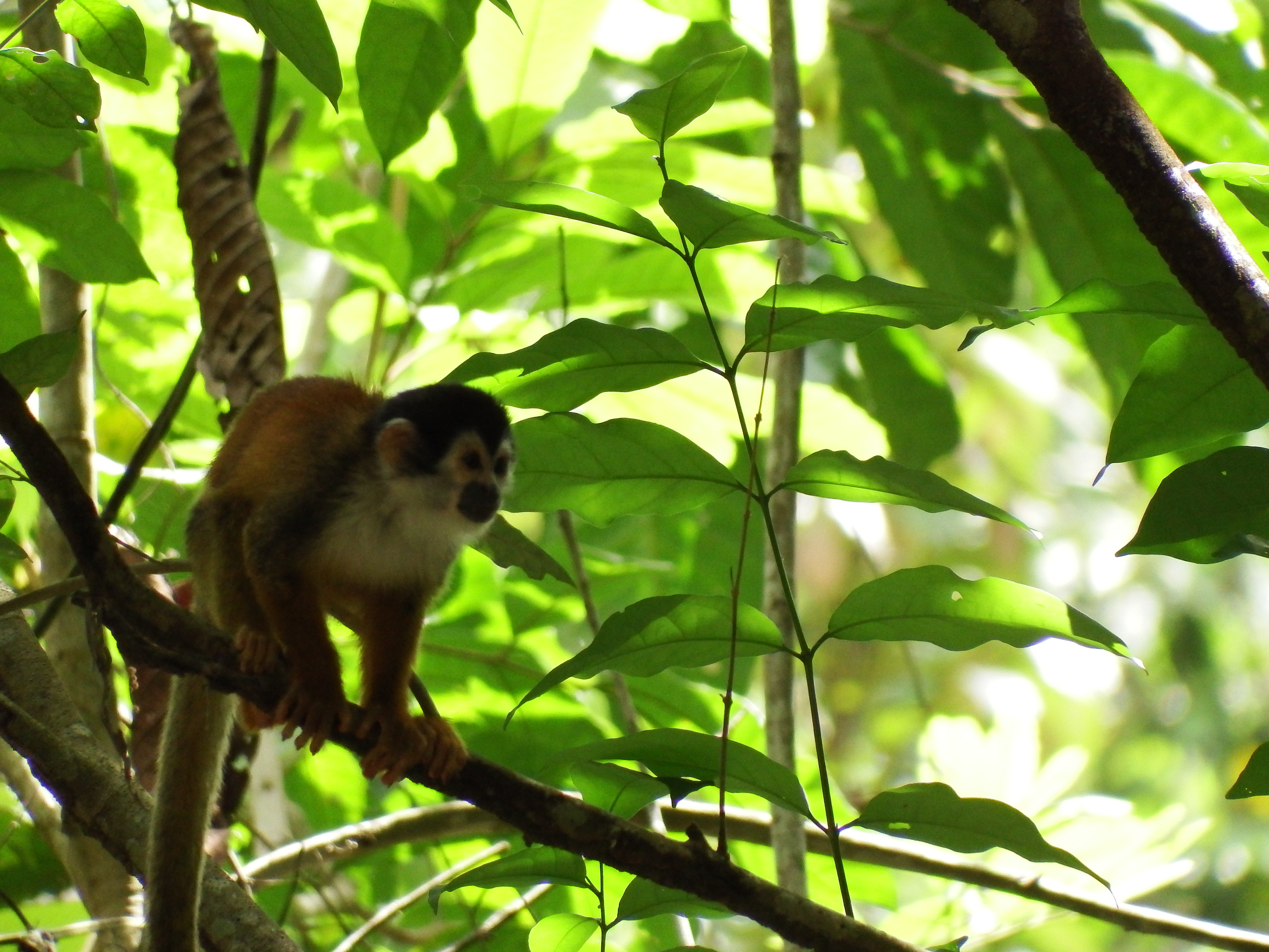 DSCF0821.JPG\n6,225.90 KB \n4608 x 3456 \n6/2/14\n