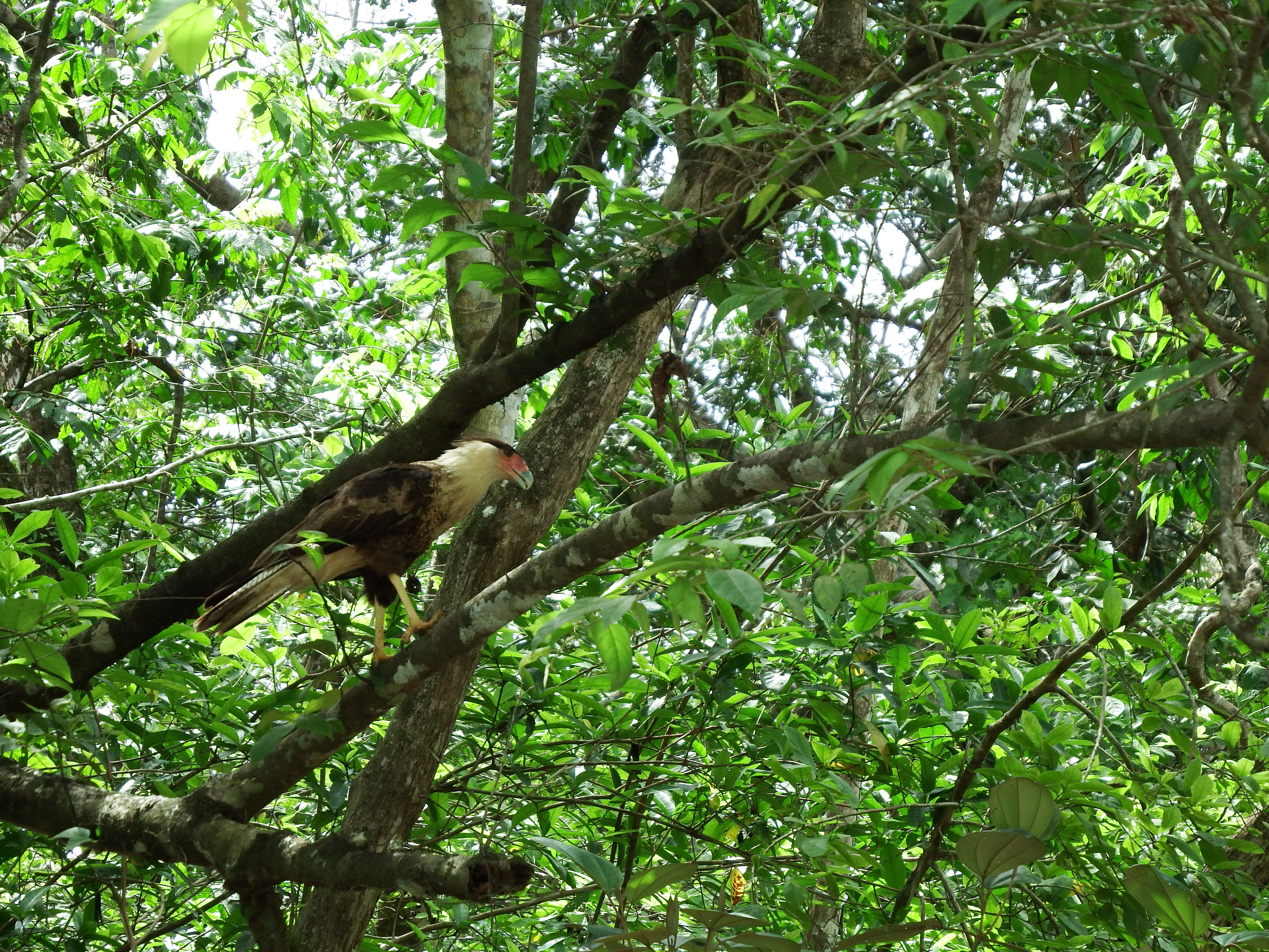 DSCF0832.JPG\n6,694.25 KB \n4608 x 3456 \n6/2/14\n