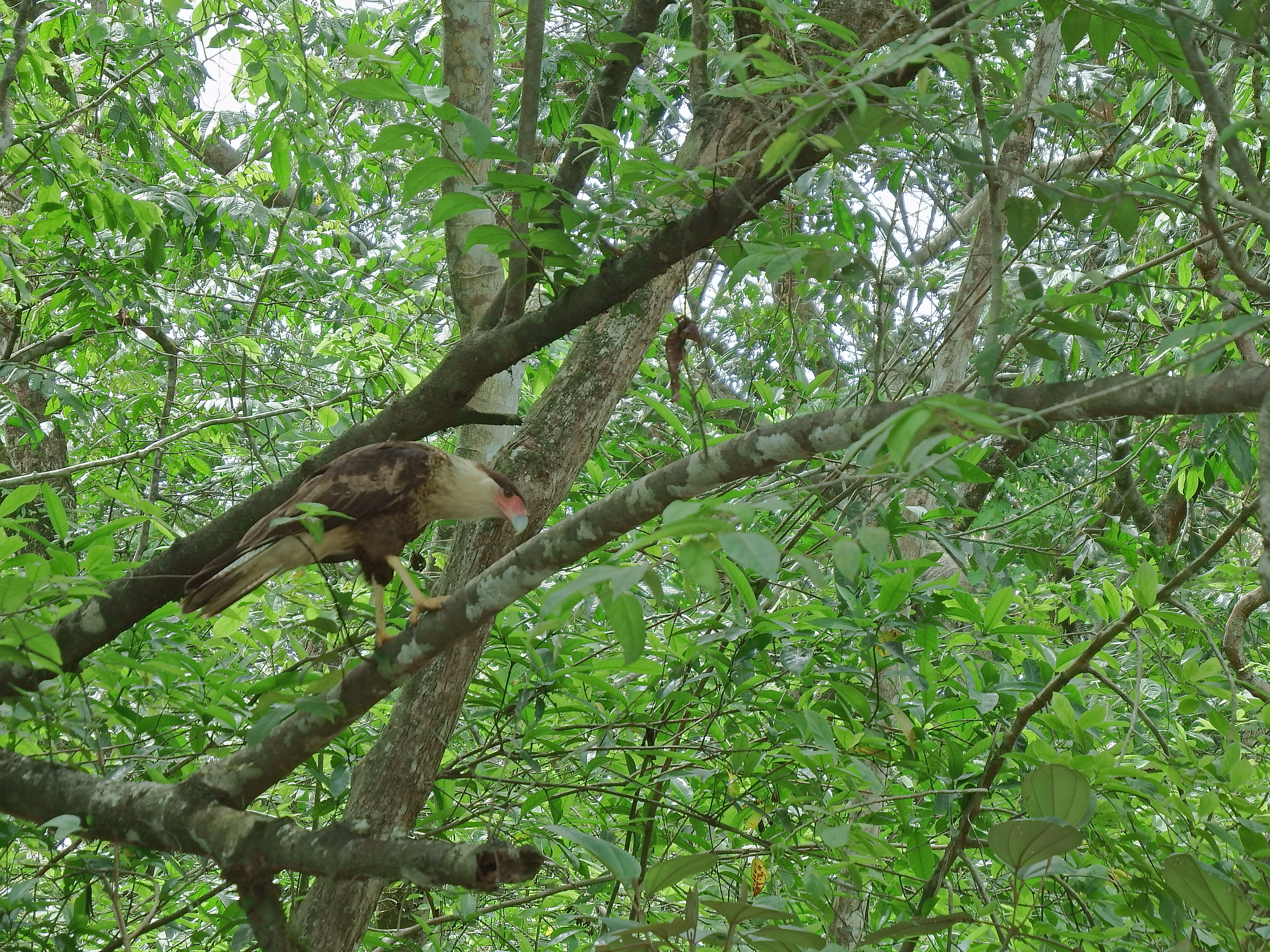 DSCF0834.JPG\n6,582.52 KB \n4608 x 3456 \n6/2/14\n