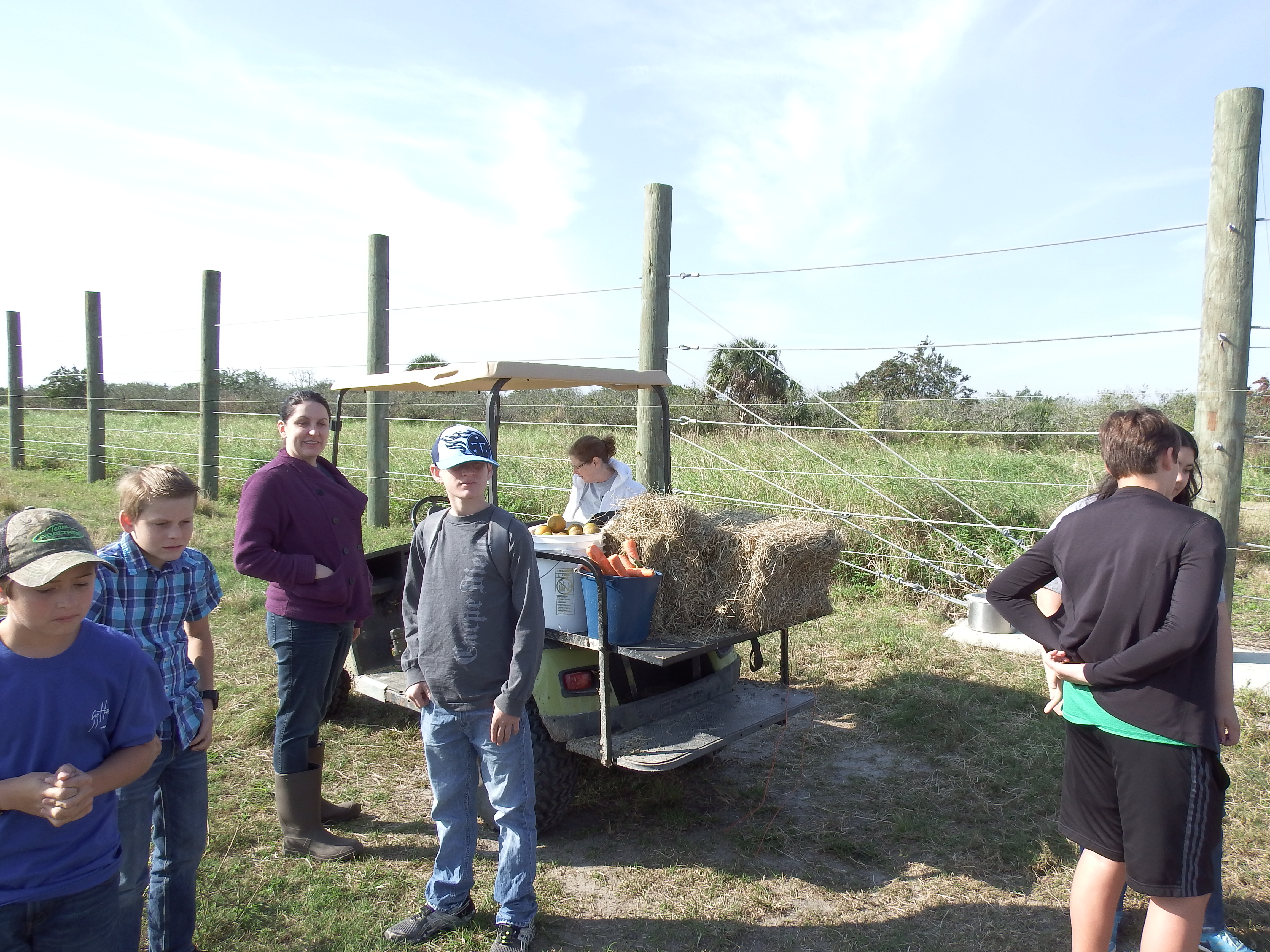 DSCF0909.JPG\n6,718.92 KB \n4608 x 3456 \n1/14/15\n