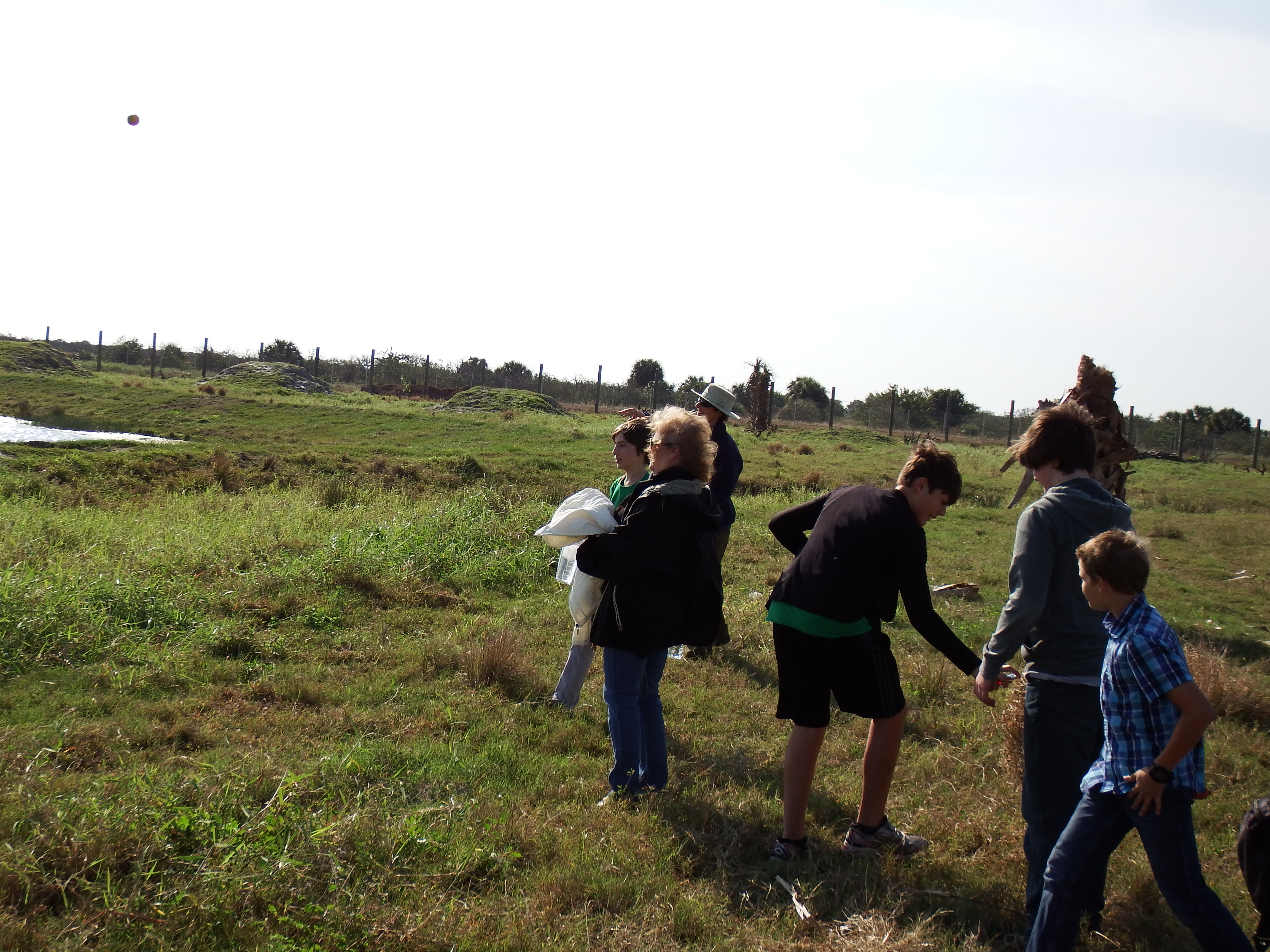 DSCF0913.JPG\n6,211.04 KB \n4608 x 3456 \n1/14/15\n
