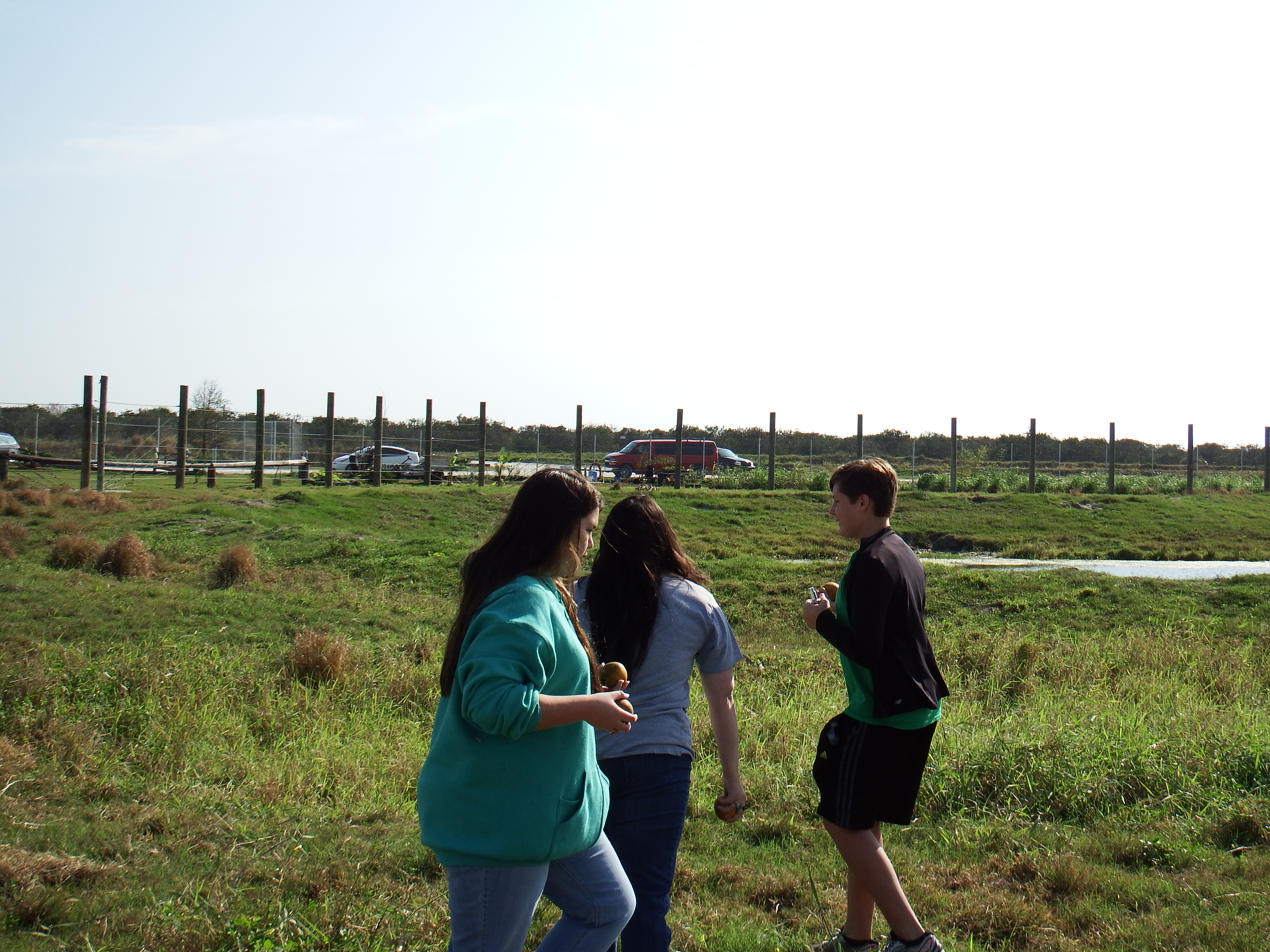 DSCF0914.JPG\n6,297.68 KB \n4608 x 3456 \n1/14/15\n
