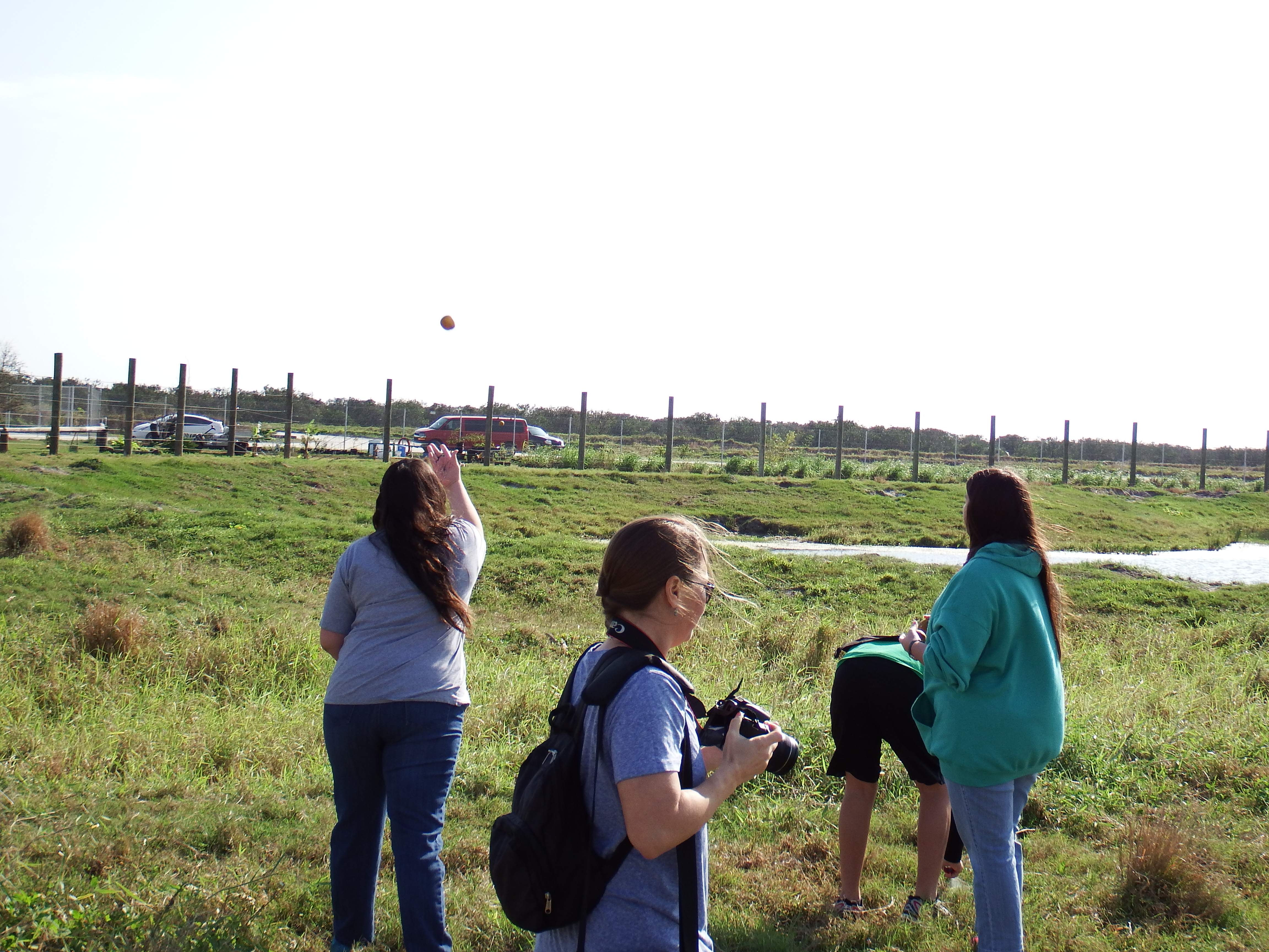 DSCF0915.JPG\n6,258.62 KB \n4608 x 3456 \n1/14/15\n