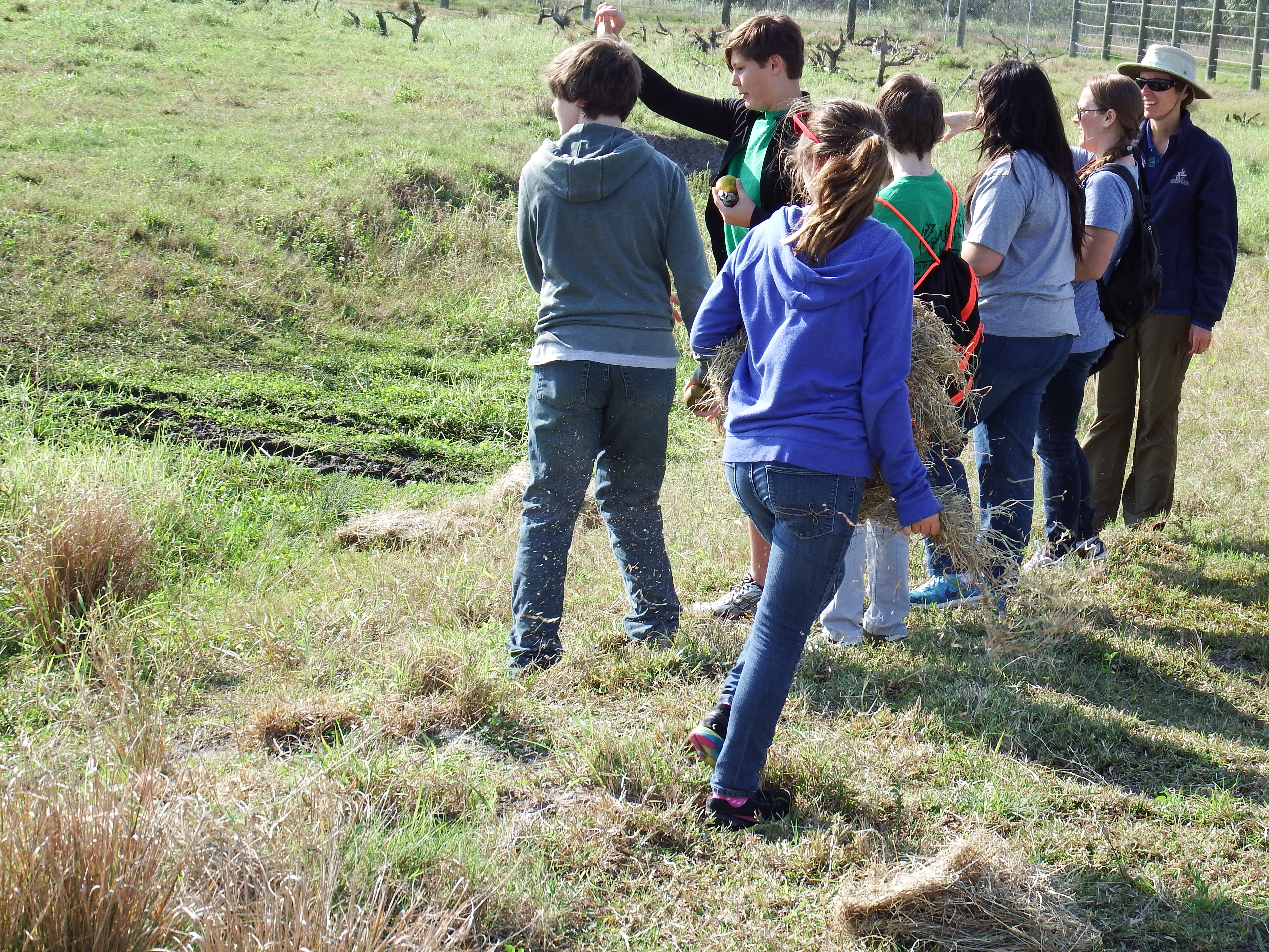 DSCF0916.JPG\n6,770.96 KB \n4608 x 3456 \n1/14/15\n