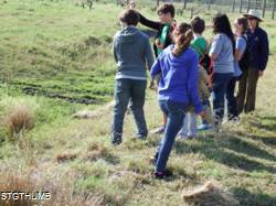 DSCF0916.JPG
6,770.96 KB
4608 x 3456
1/14/15