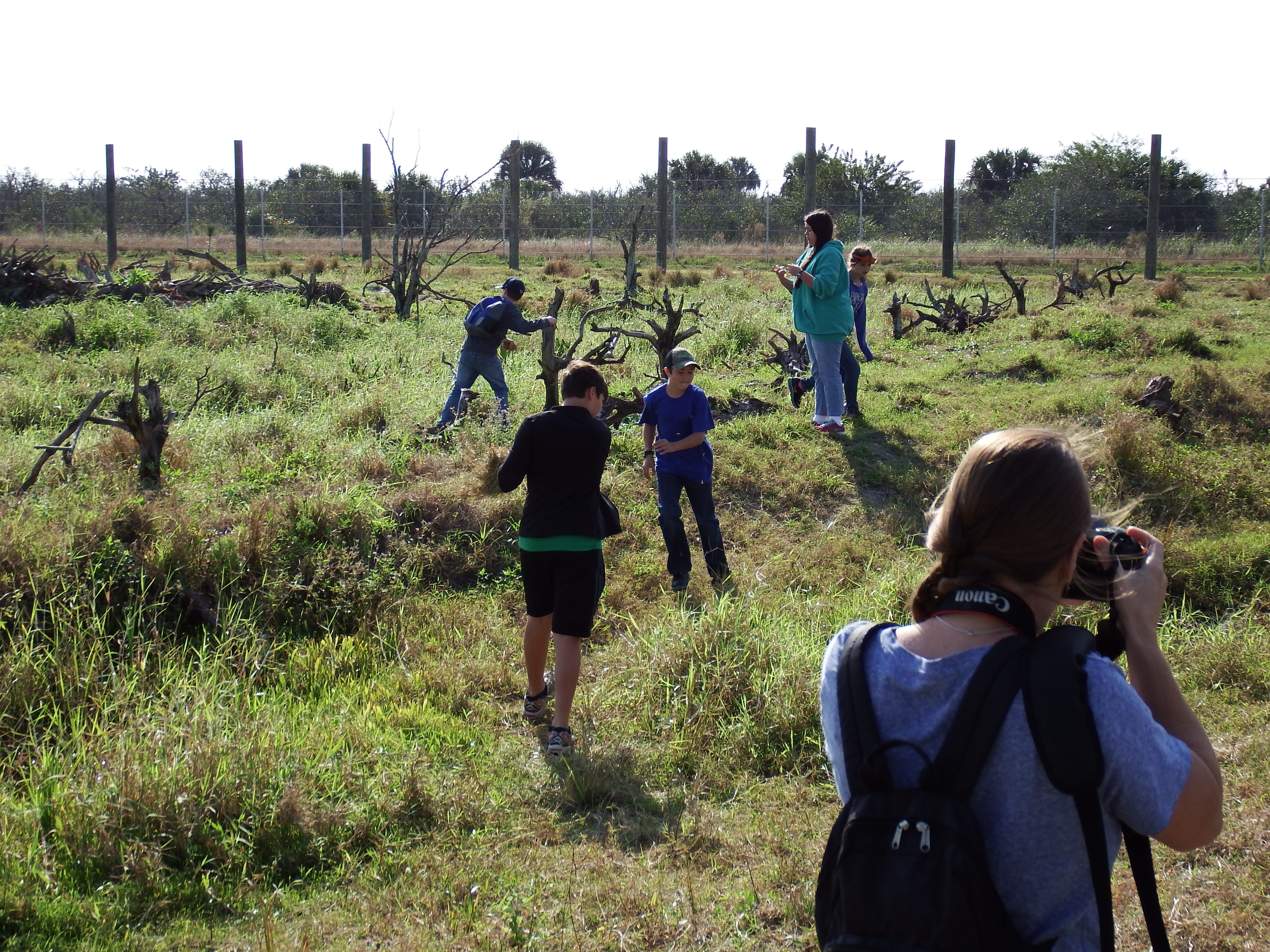 DSCF0918.JPG\n6,547.57 KB \n4608 x 3456 \n1/14/15\n