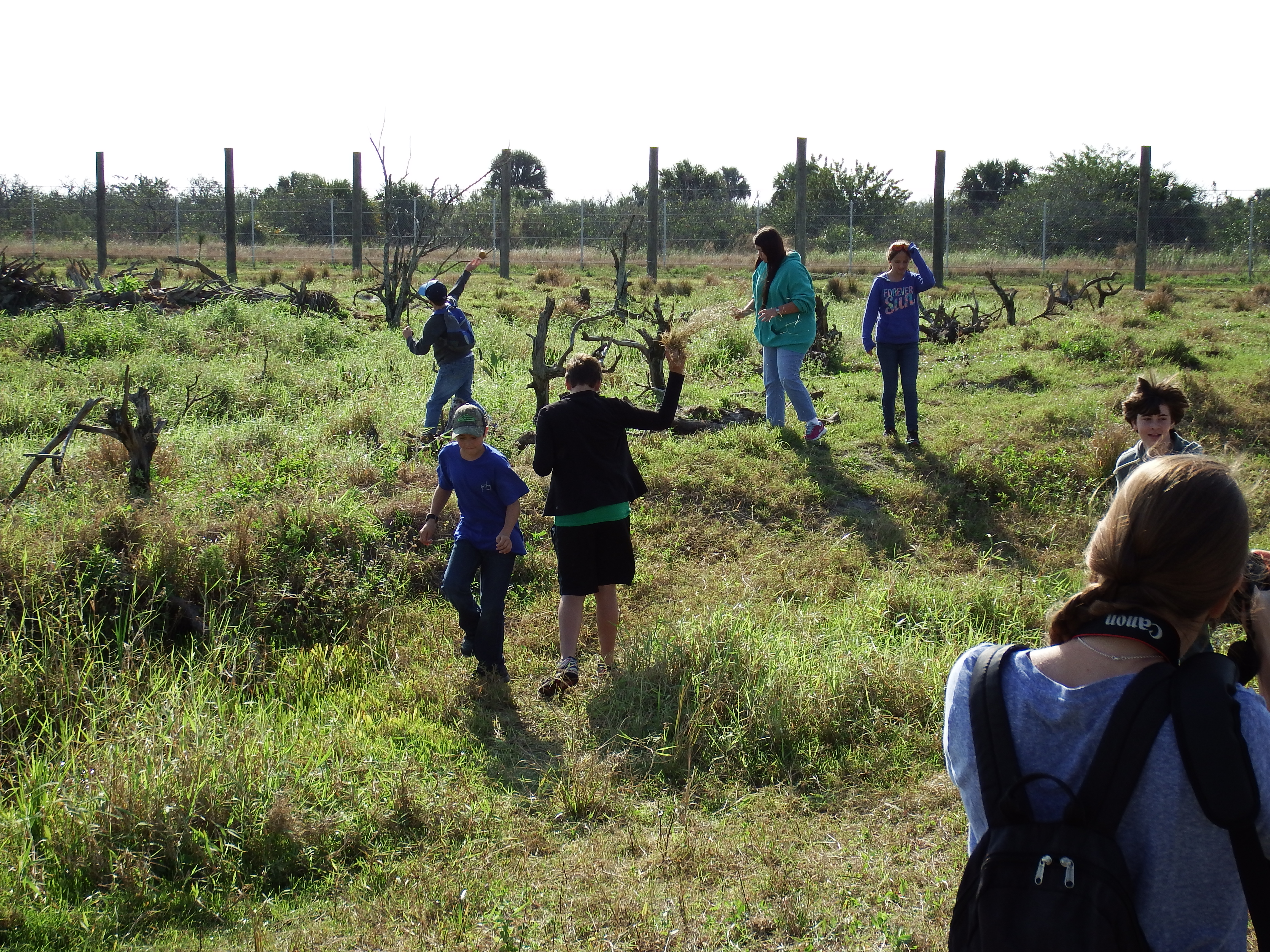 DSCF0919.JPG\n6,593.84 KB \n4608 x 3456 \n1/14/15\n
