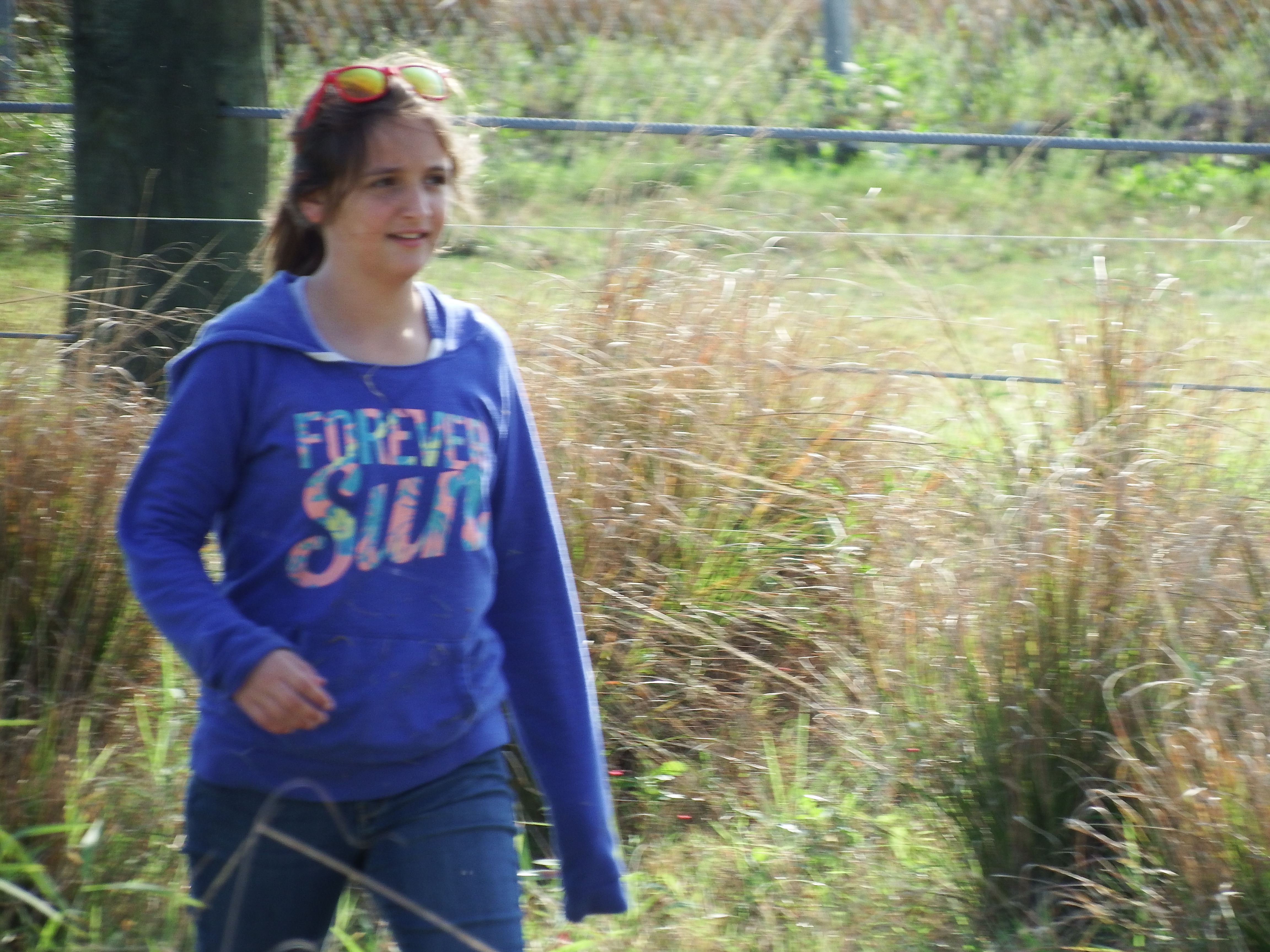 DSCF0922.JPG\n6,567.57 KB \n4608 x 3456 \n1/14/15\n