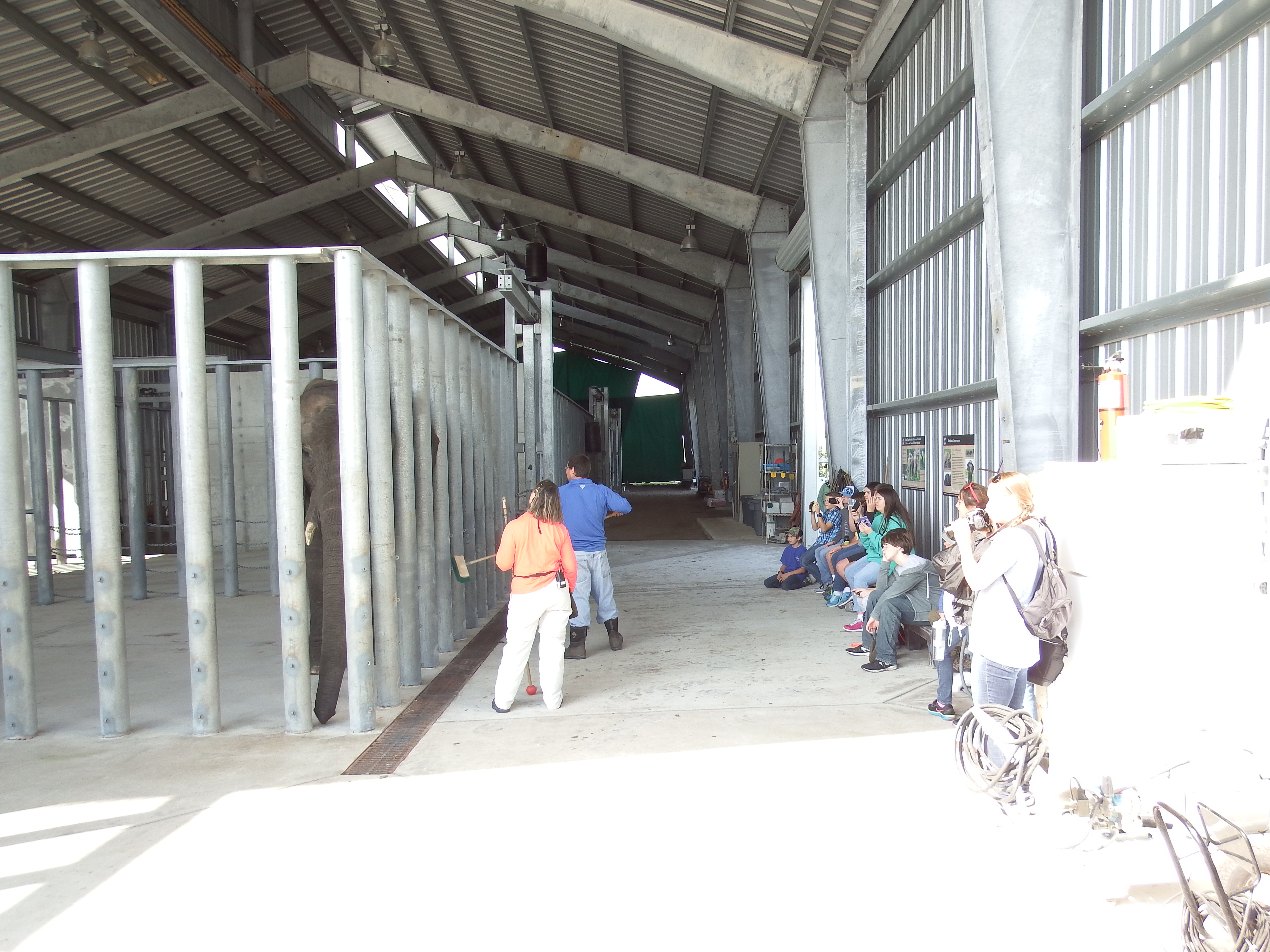 DSCF0943.JPG\n6,184.27 KB \n4608 x 3456 \n1/14/15\n