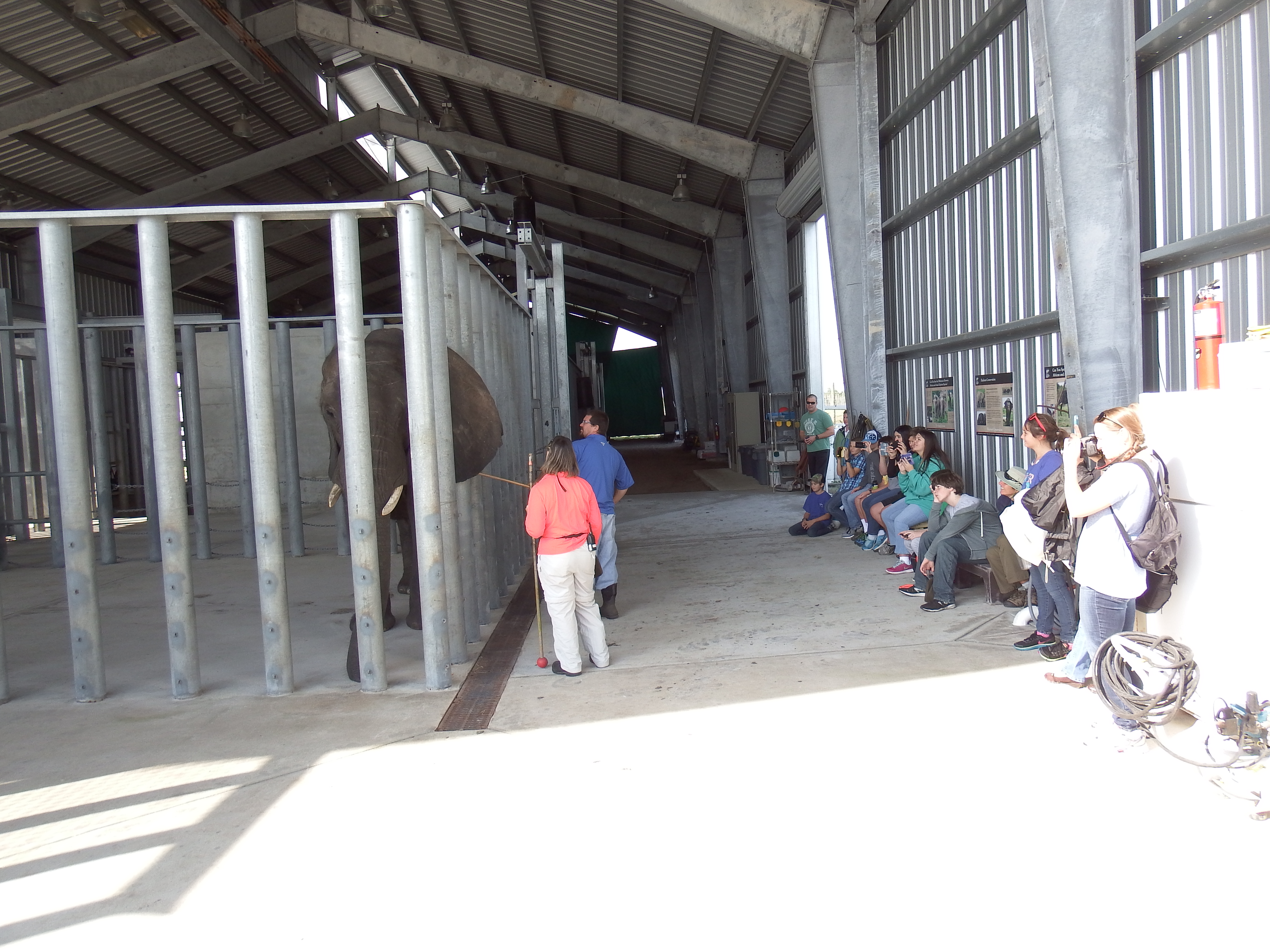 DSCF0944.JPG\n6,211.39 KB \n4608 x 3456 \n1/14/15\n