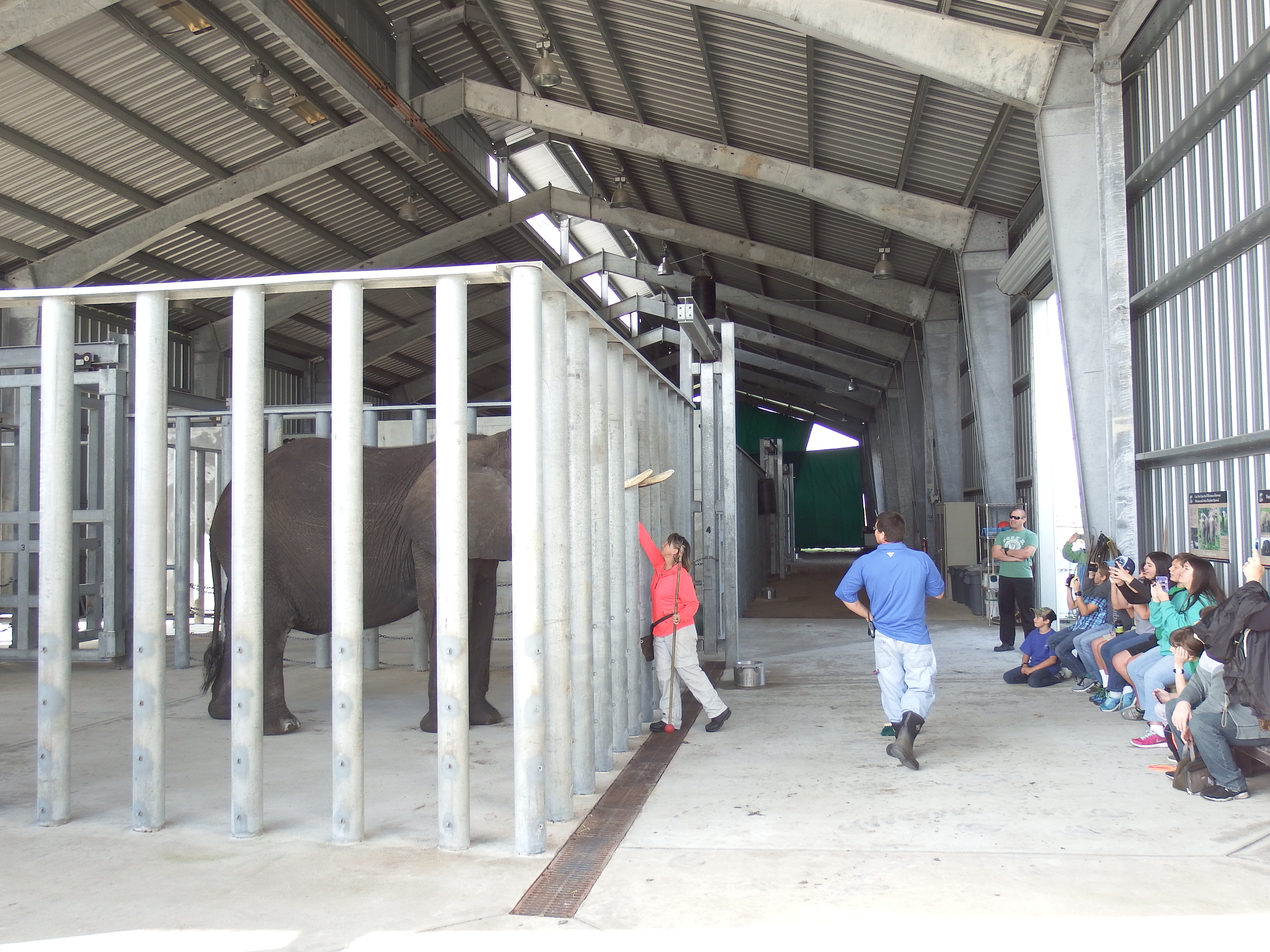 DSCF0948.JPG\n6,414.26 KB \n4608 x 3456 \n1/14/15\n