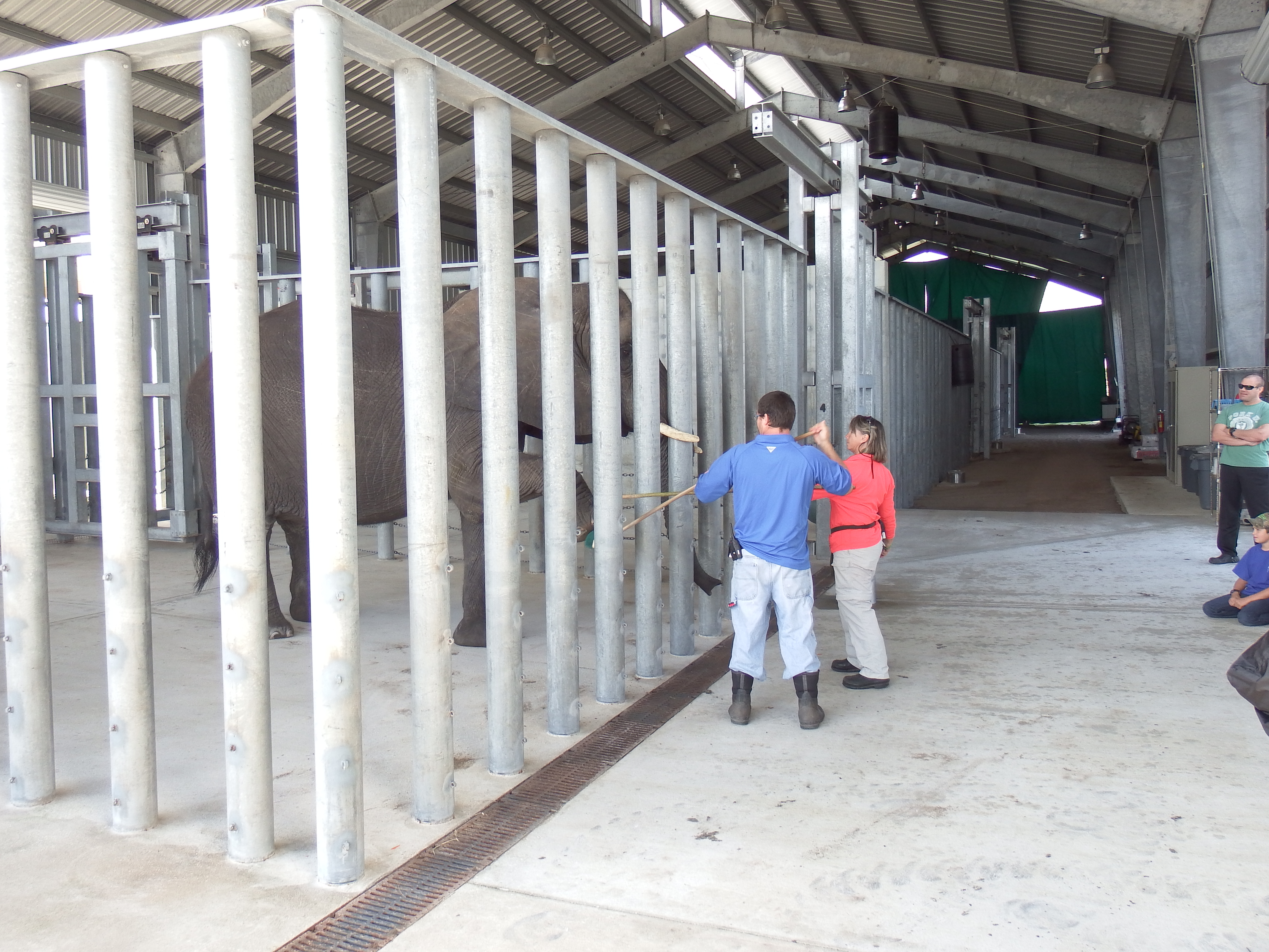 DSCF0949.JPG\n6,025.51 KB \n4608 x 3456 \n1/14/15\n