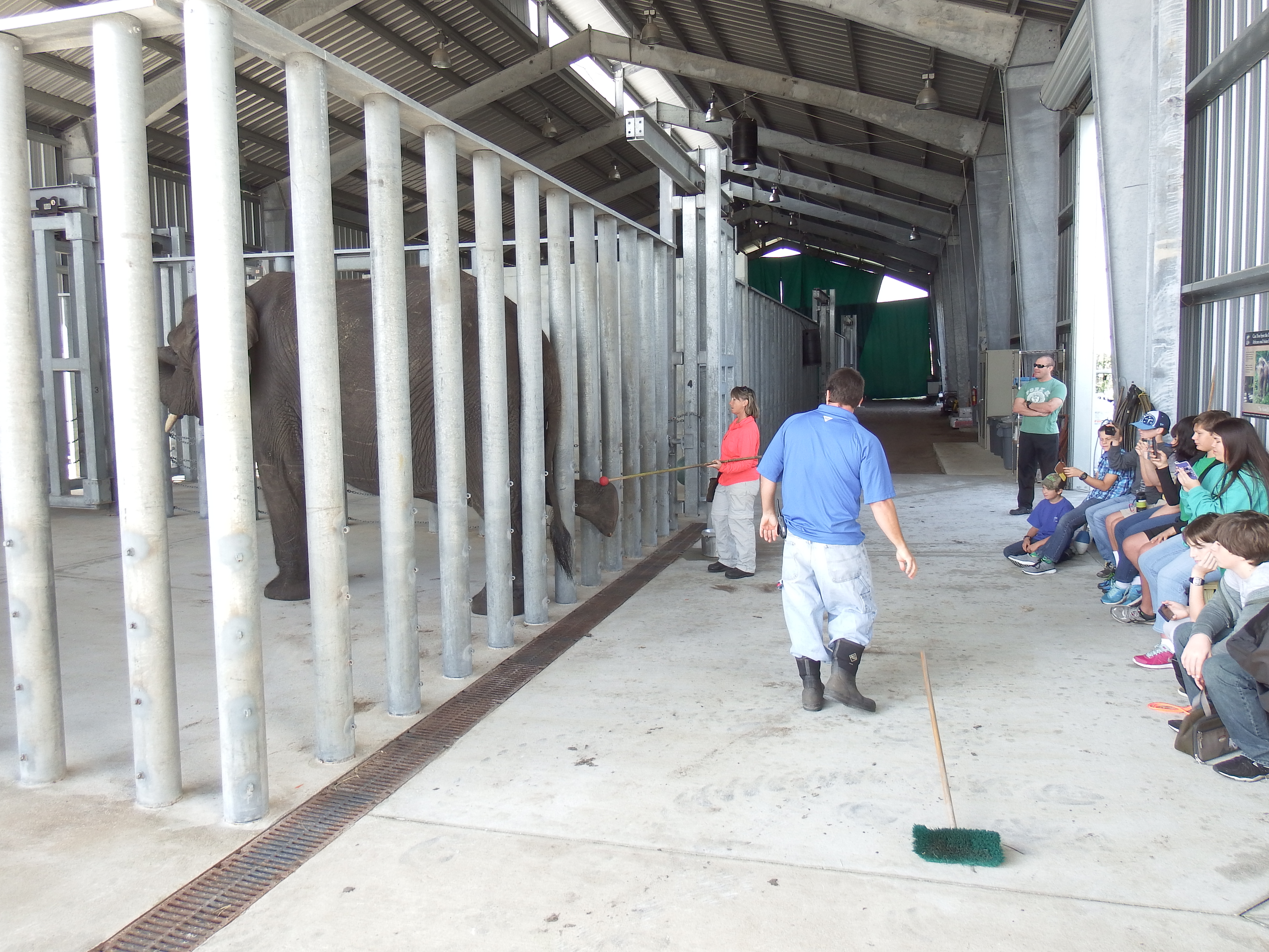 DSCF0951.JPG\n6,342.95 KB \n4608 x 3456 \n1/14/15\n