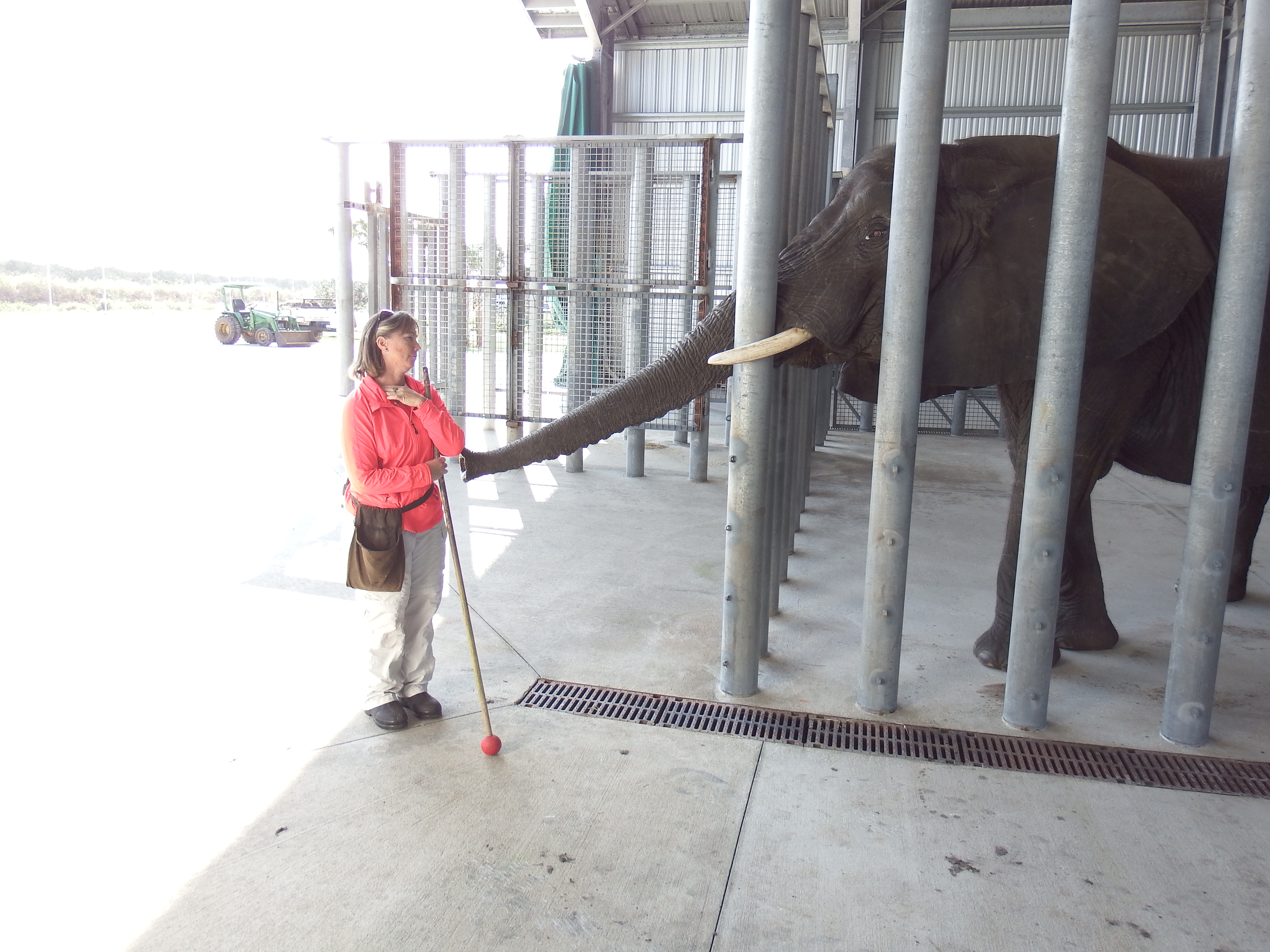 DSCF0953.JPG\n6,000.54 KB \n4608 x 3456 \n1/14/15\n