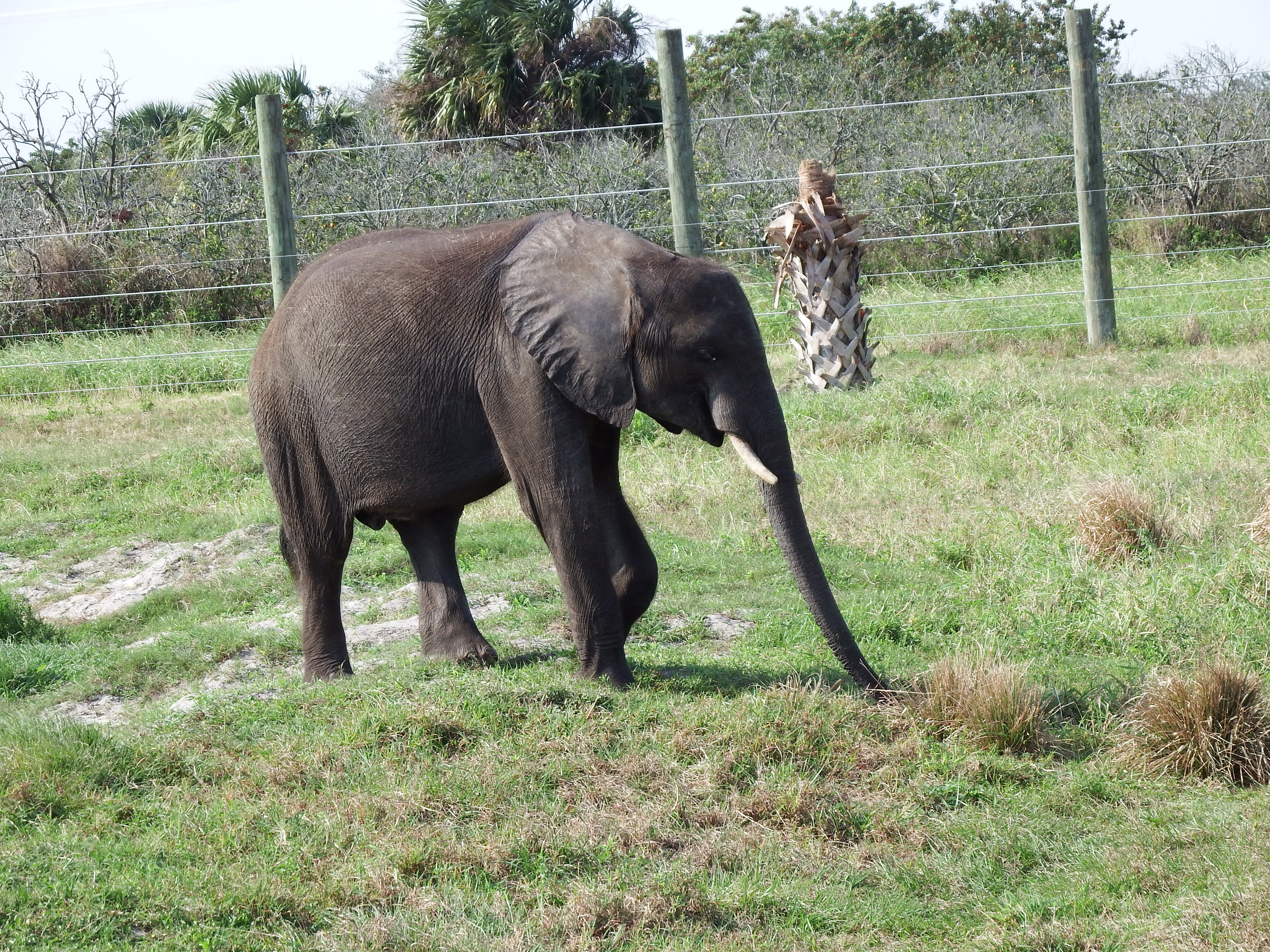 DSCF0973.JPG\n6,826.84 KB \n4608 x 3456 \n1/14/15\n