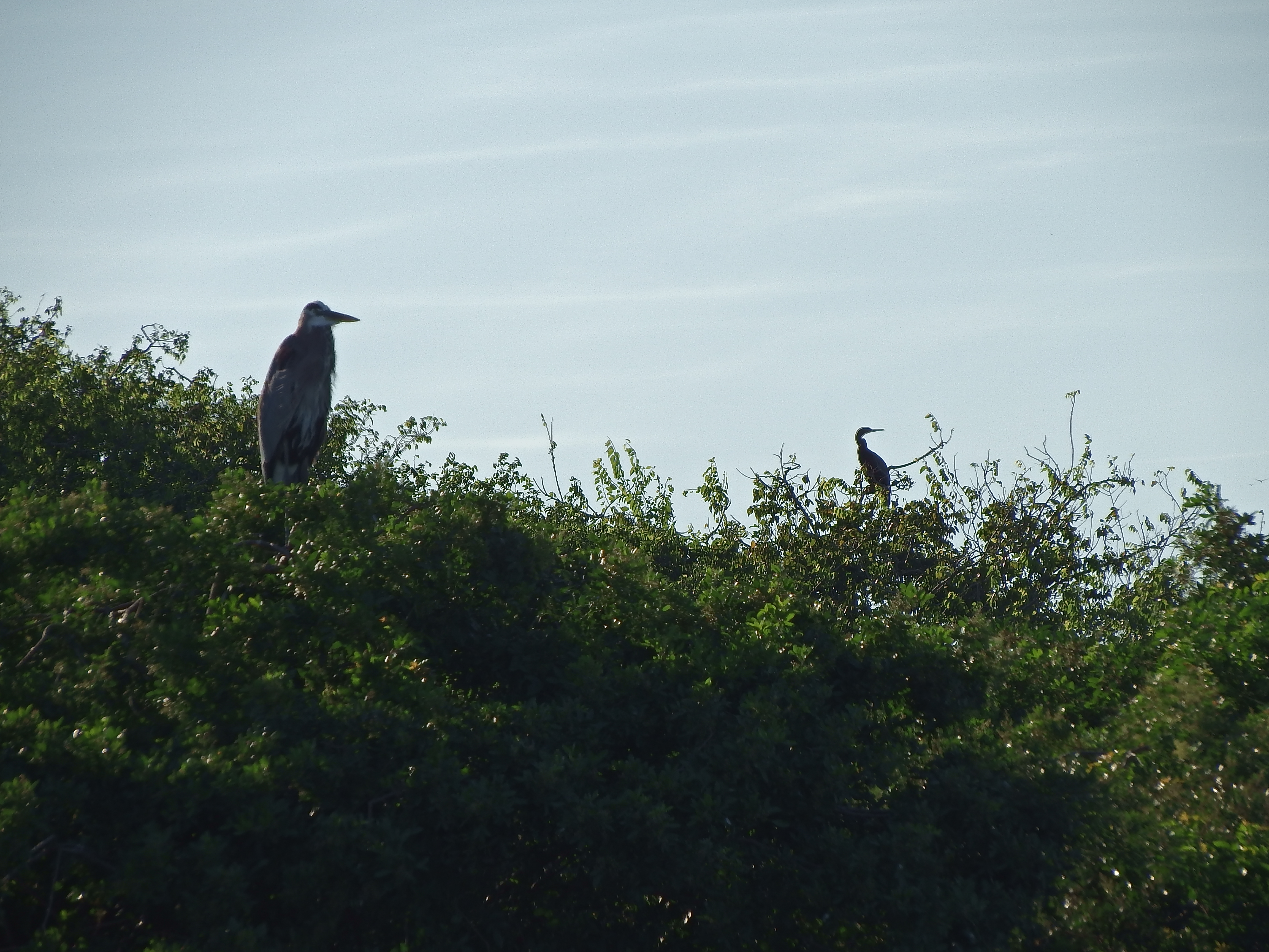 DSCF0472.JPG\n5,878.66 KB \n4608 x 3456 \n10/27/14\n