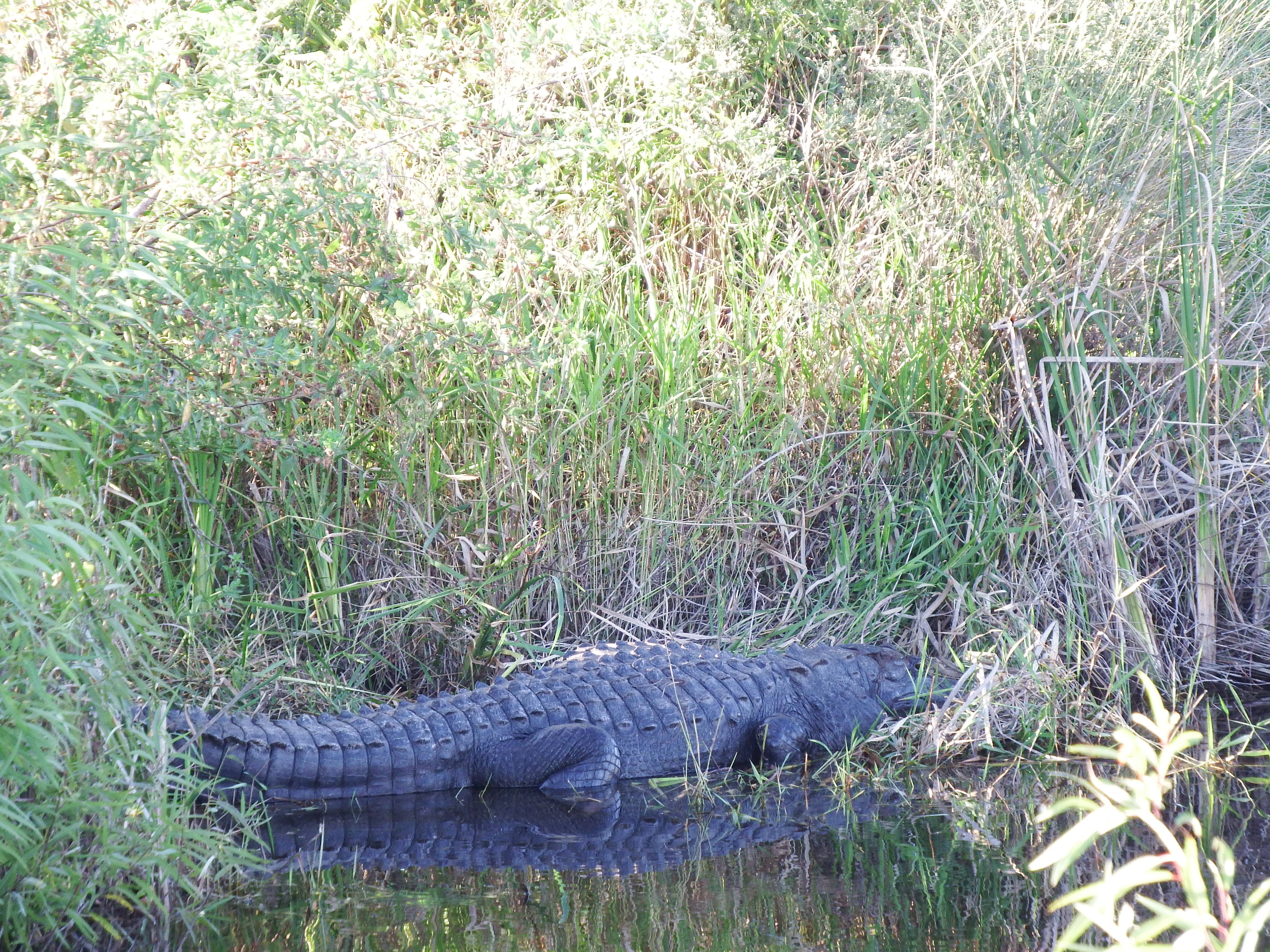 DSCF0476.JPG\n7,092.14 KB \n4608 x 3456 \n10/27/14\n