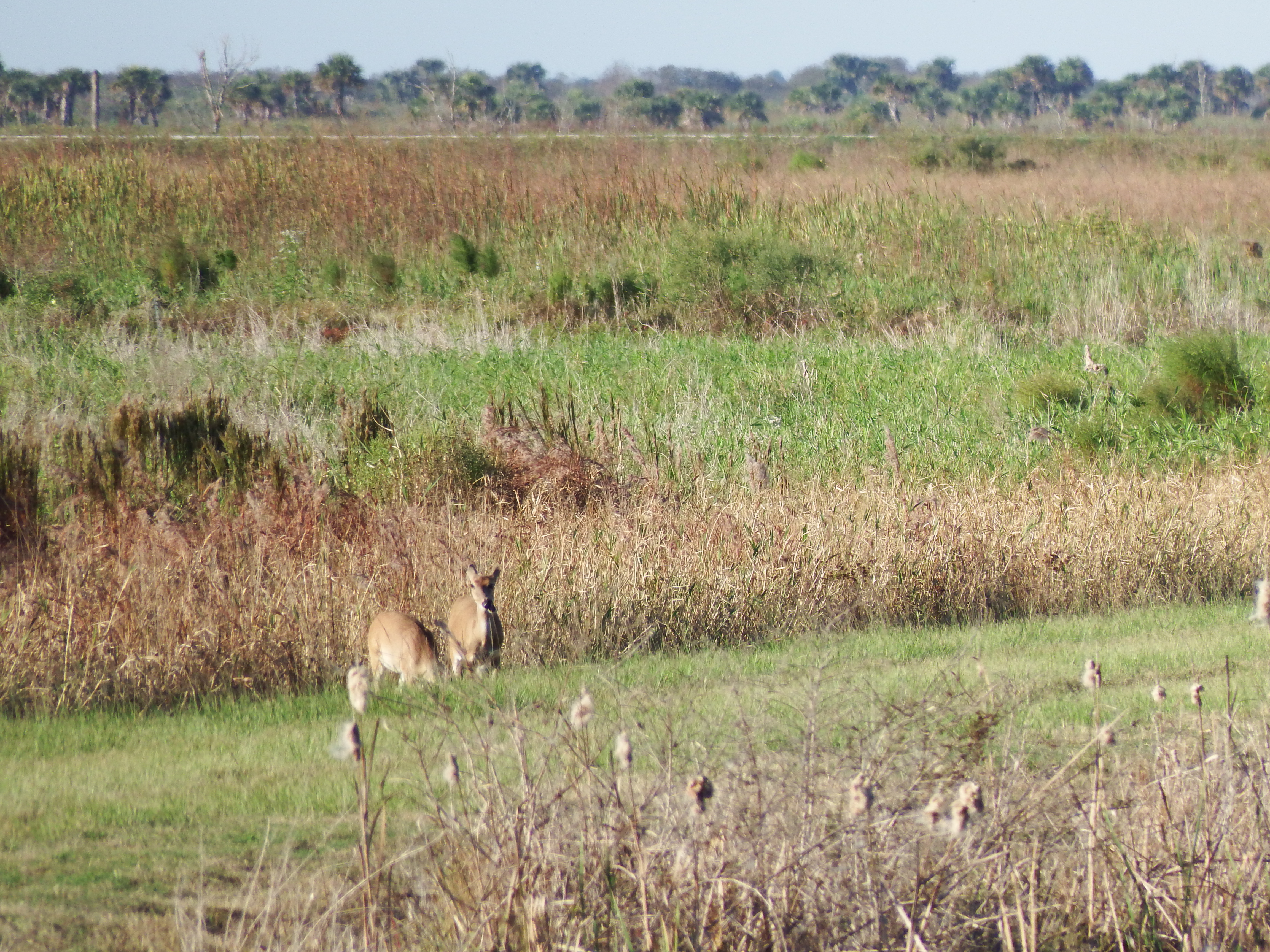 DSCF0487.JPG\n6,988.84 KB \n4608 x 3456 \n10/27/14\n