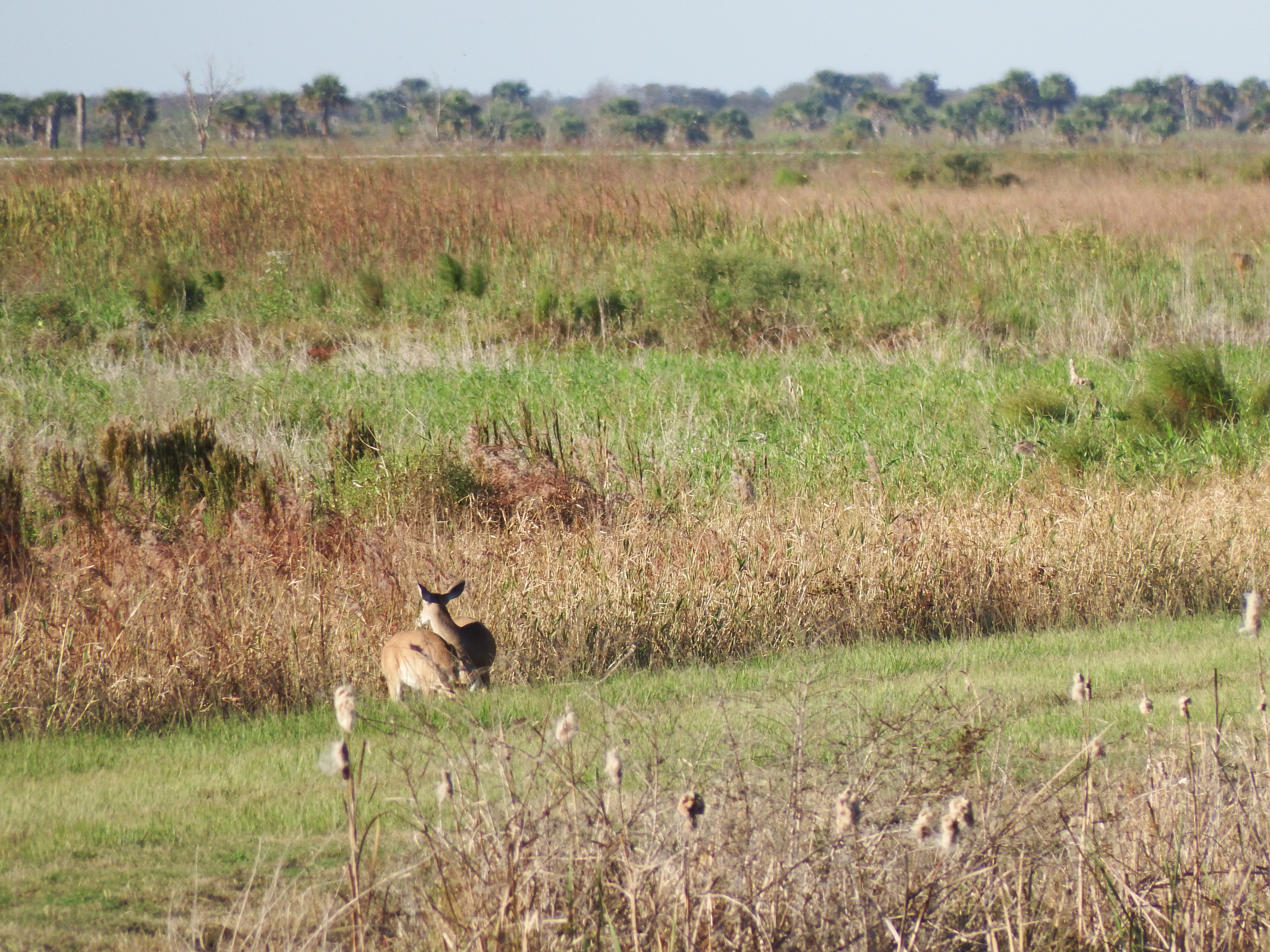 DSCF0488.JPG\n6,679.03 KB \n4608 x 3456 \n10/27/14\n
