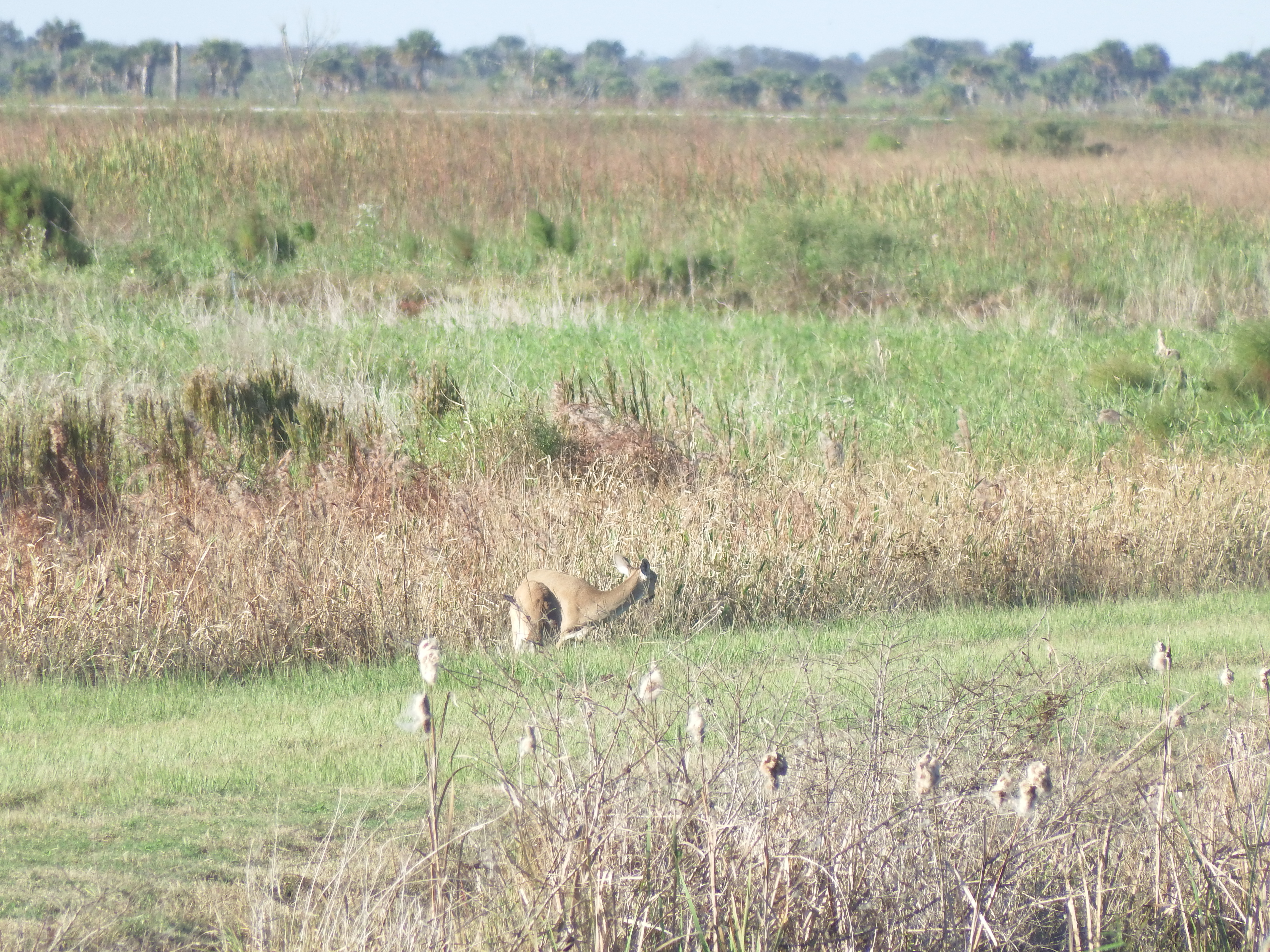 DSCF0489.JPG\n6,517.66 KB \n4608 x 3456 \n10/27/14\n