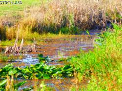 DSCF0492.JPG
7,086.54 KB
4608 x 3456
10/27/14