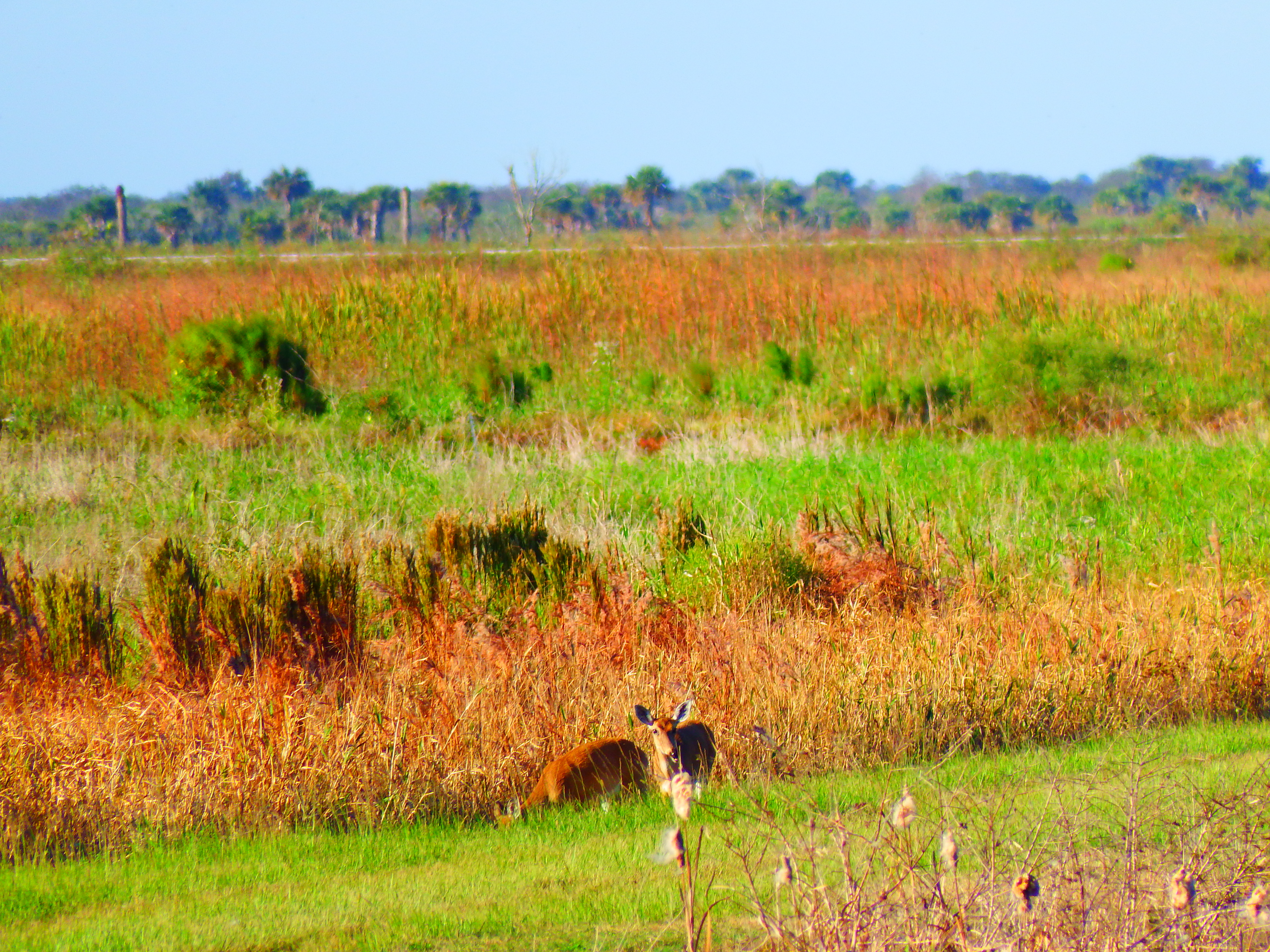 DSCF0495.JPG\n6,867.06 KB \n4608 x 3456 \n10/27/14\n