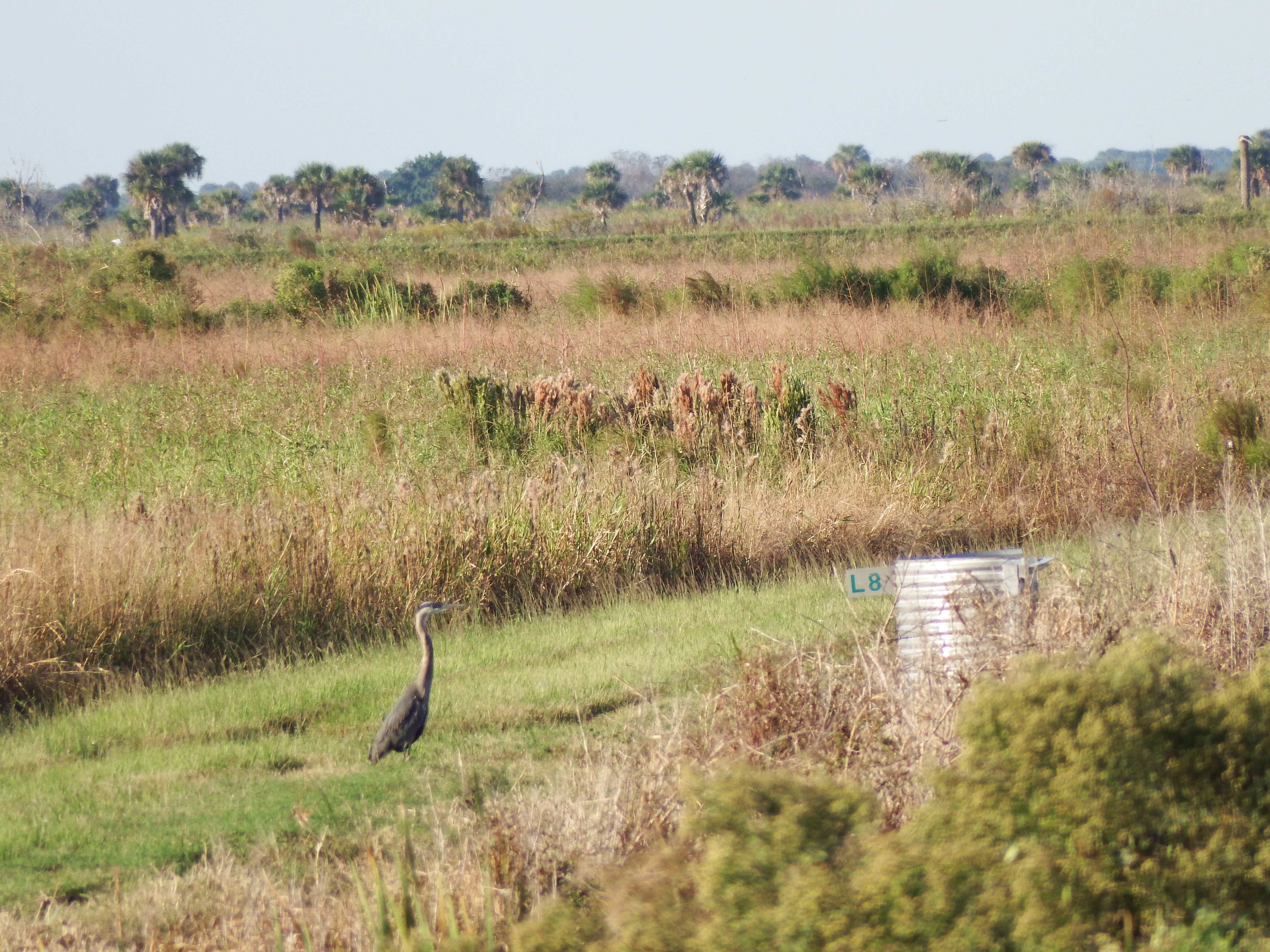 DSCF0513.JPG\n6,503.00 KB \n4608 x 3456 \n10/27/14\n