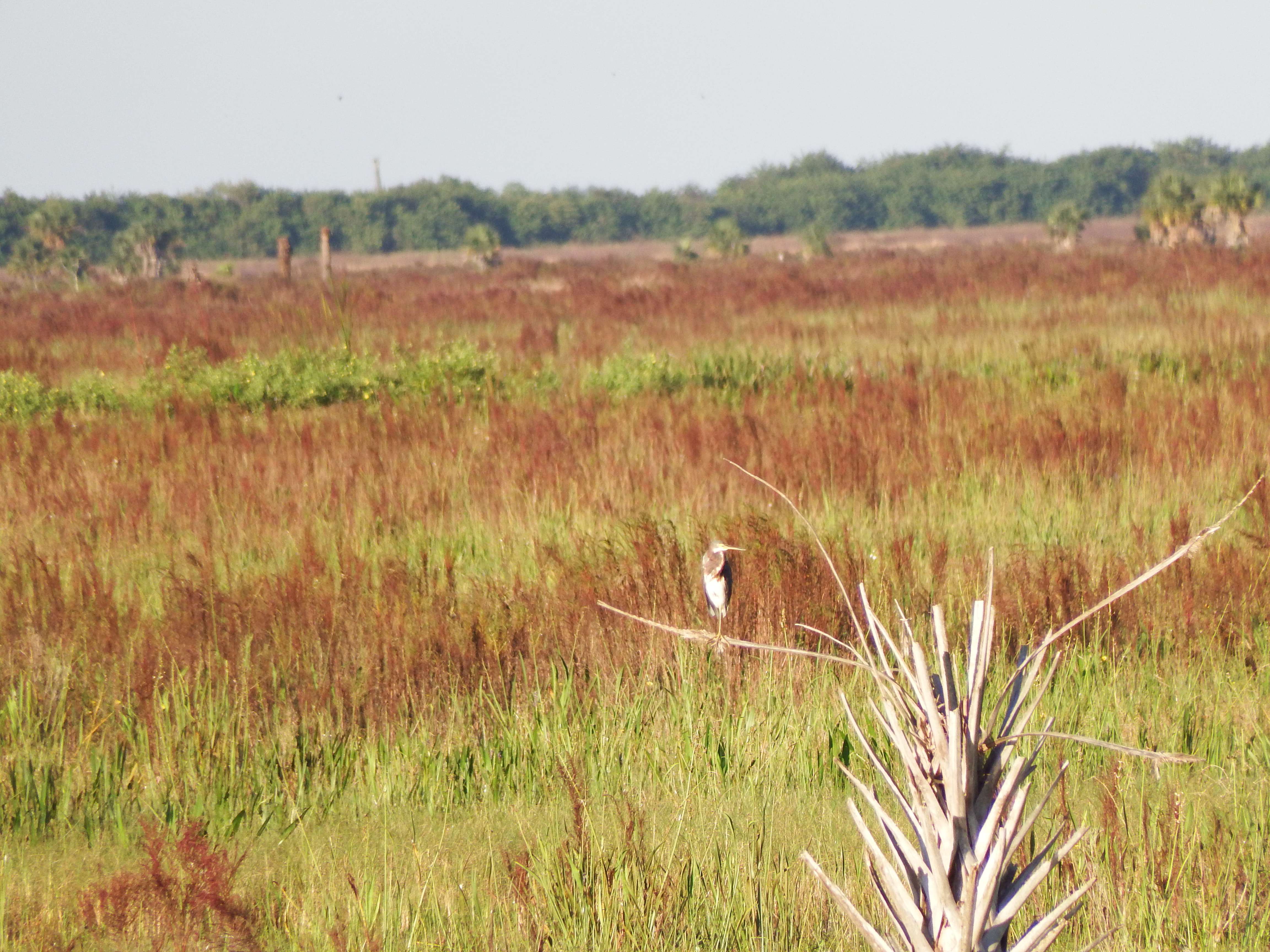 DSCF0528.JPG\n6,578.28 KB \n4608 x 3456 \n10/27/14\n