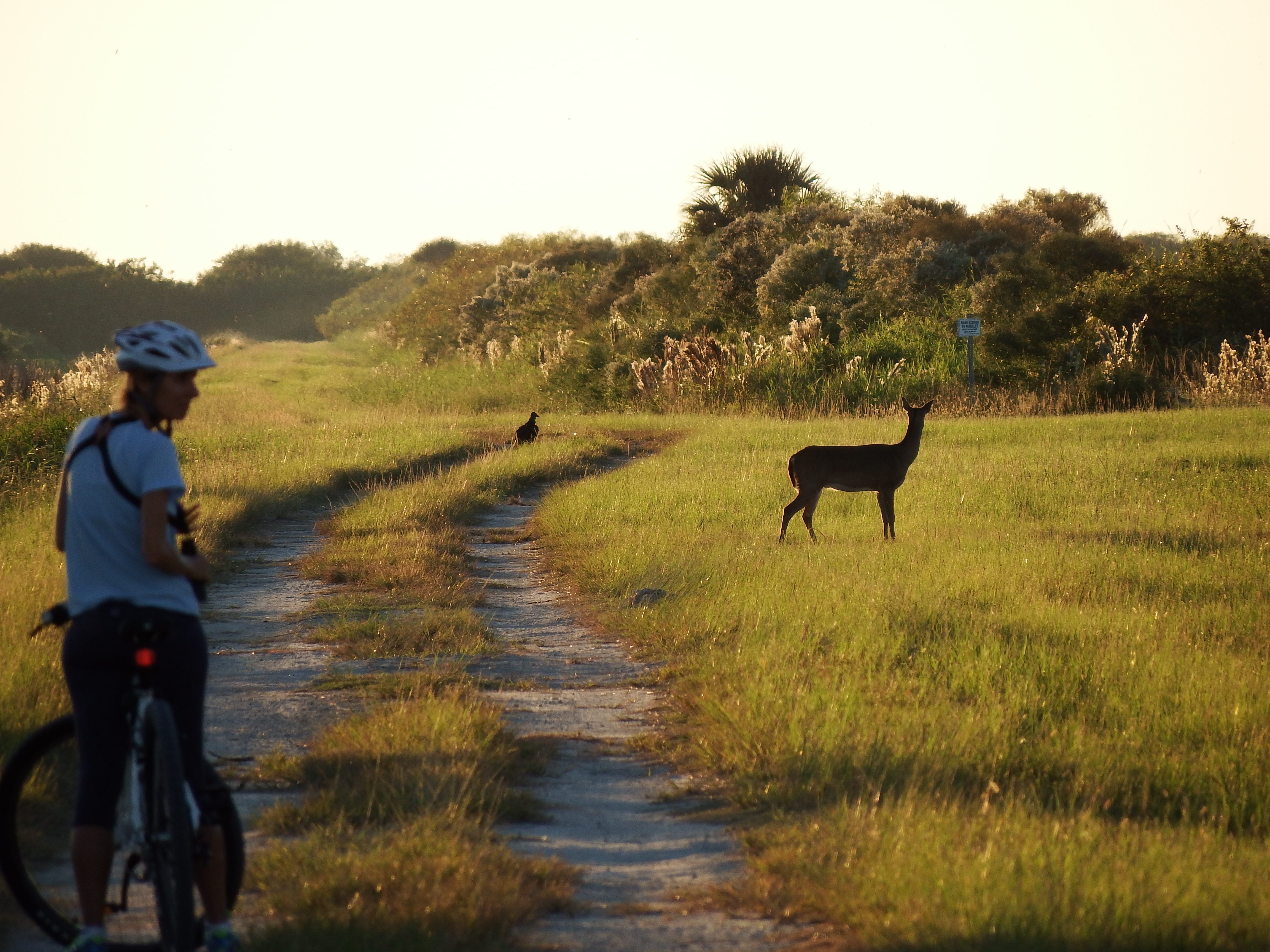 DSCF0578.JPG\n6,374.44 KB \n4608 x 3456 \n10/27/14\n