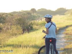 DSCF0583.JPG
5,863.48 KB
4608 x 3456
10/27/14