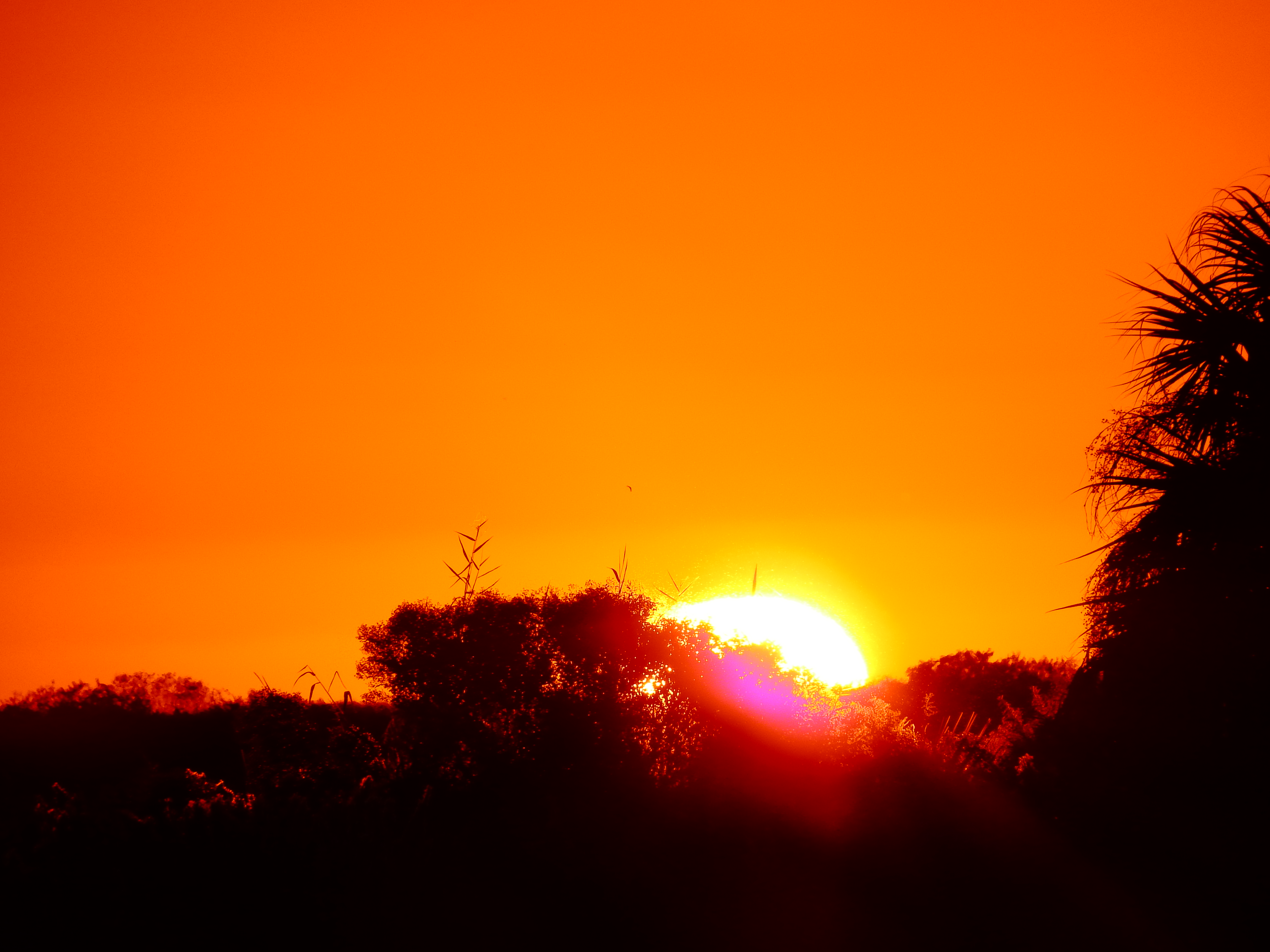 DSCF0614.JPG\n5,263.62 KB \n4608 x 3456 \n10/27/14\n