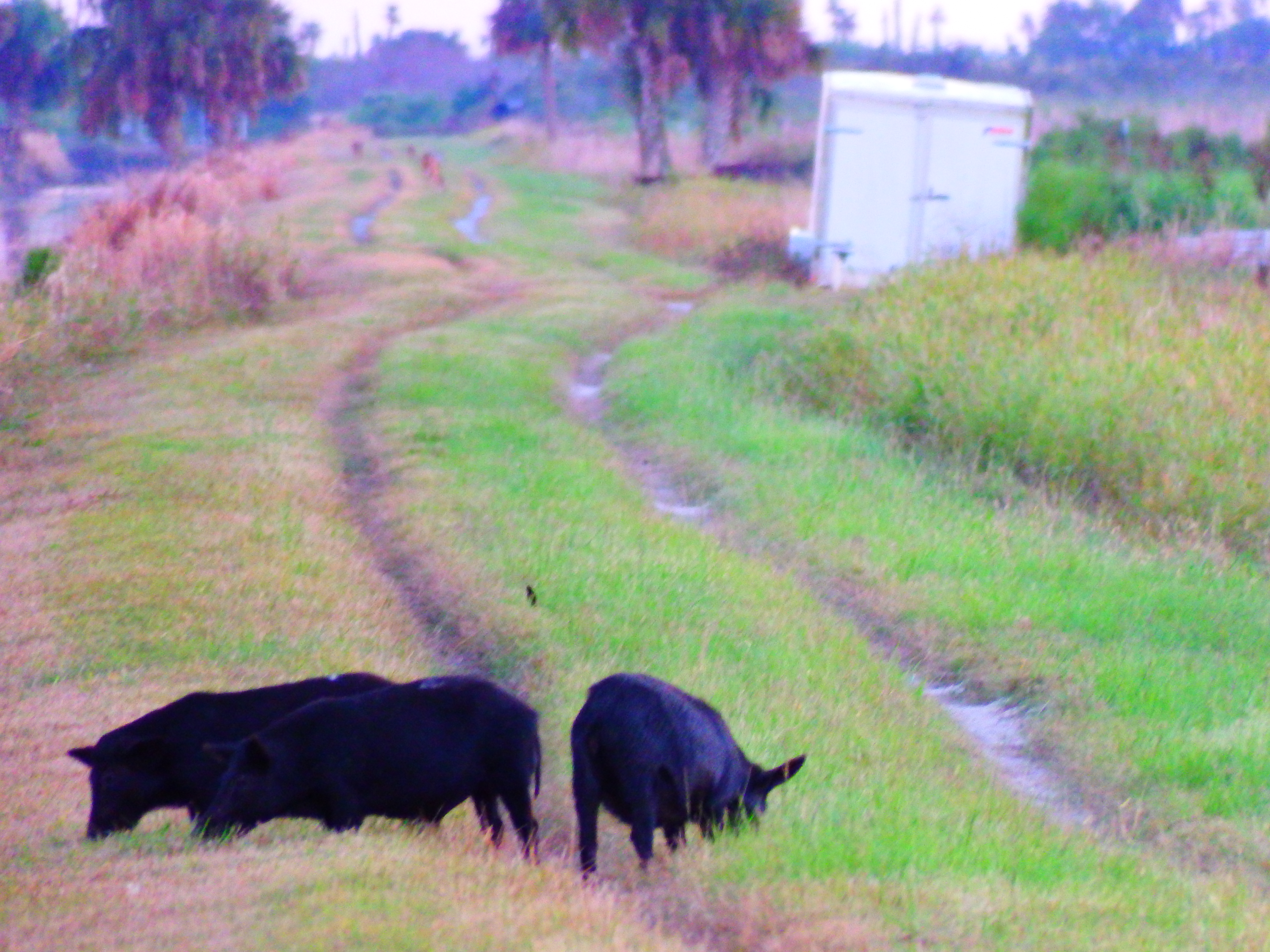 DSCF0616.JPG\n6,410.72 KB \n4608 x 3456 \n10/27/14\n