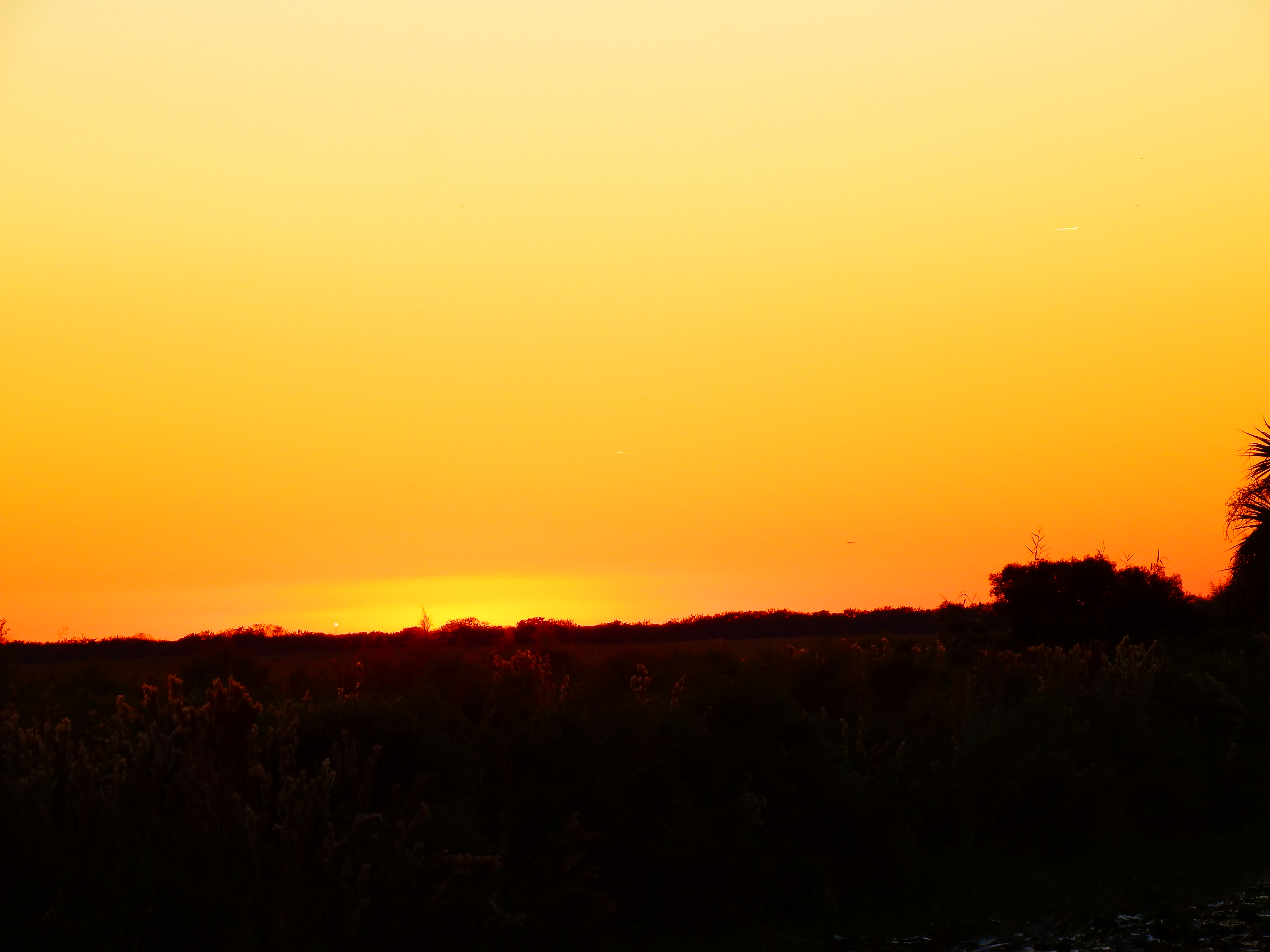 DSCF0623.JPG\n4,514.33 KB \n4608 x 3456 \n10/27/14\n
