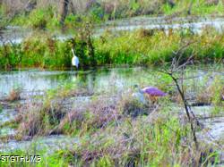 DSCF0834.JPG
7,255.13 KB
4608 x 3456
1/14/15