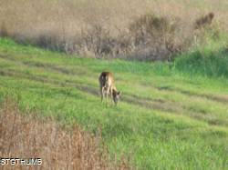 DSCF0860.JPG
6,782.18 KB
4608 x 3456
1/14/15