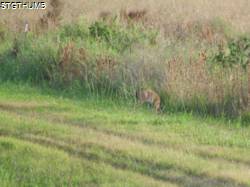 DSCF0861.JPG
7,249.19 KB
4608 x 3456
1/14/15