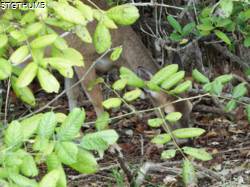 DSCF1100.JPG
7,117.98 KB
4608 x 3456
2/23/15