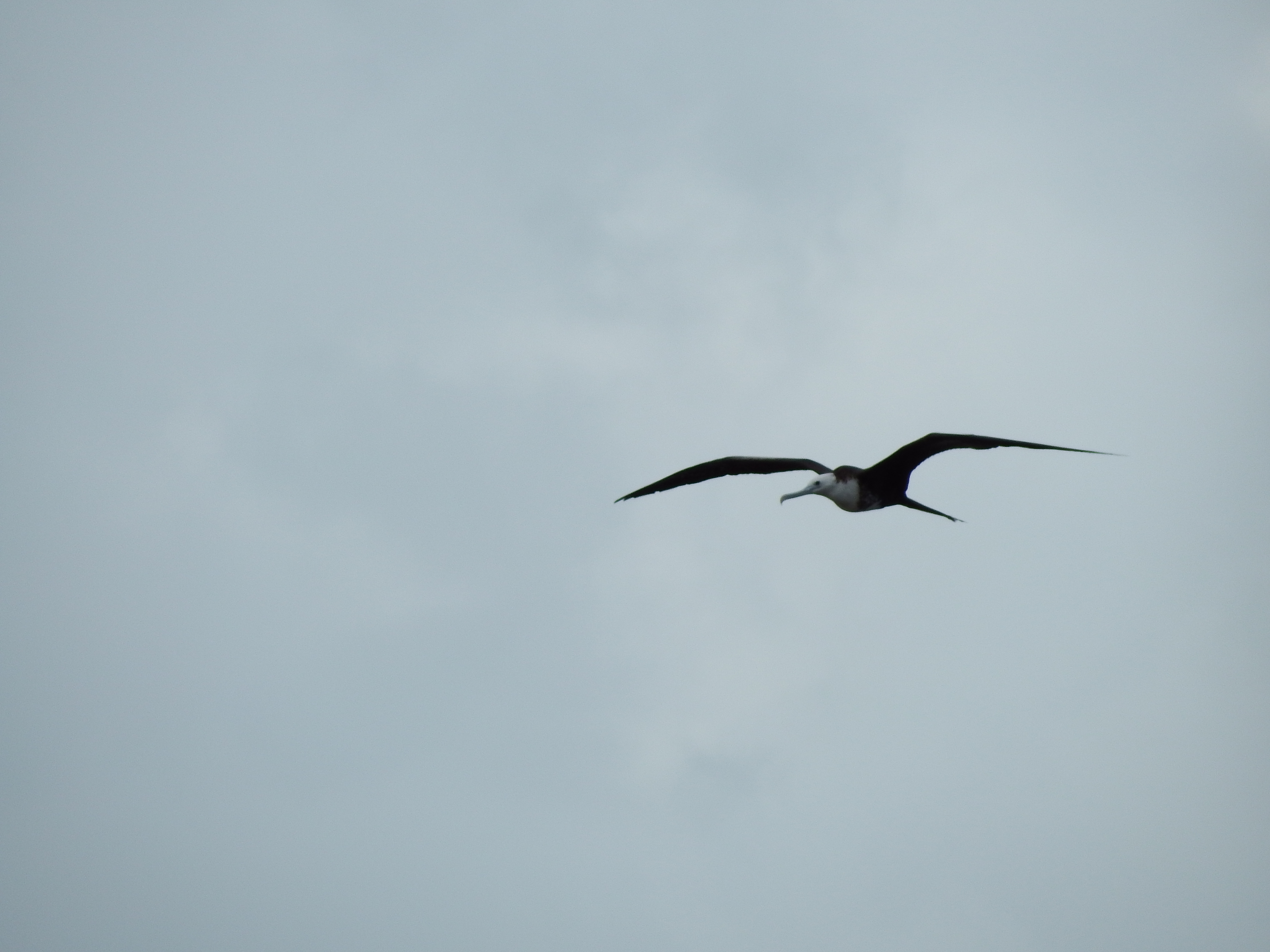 DSCF1119.JPG\n5,231.91 KB \n4608 x 3456 \n2/23/15\n