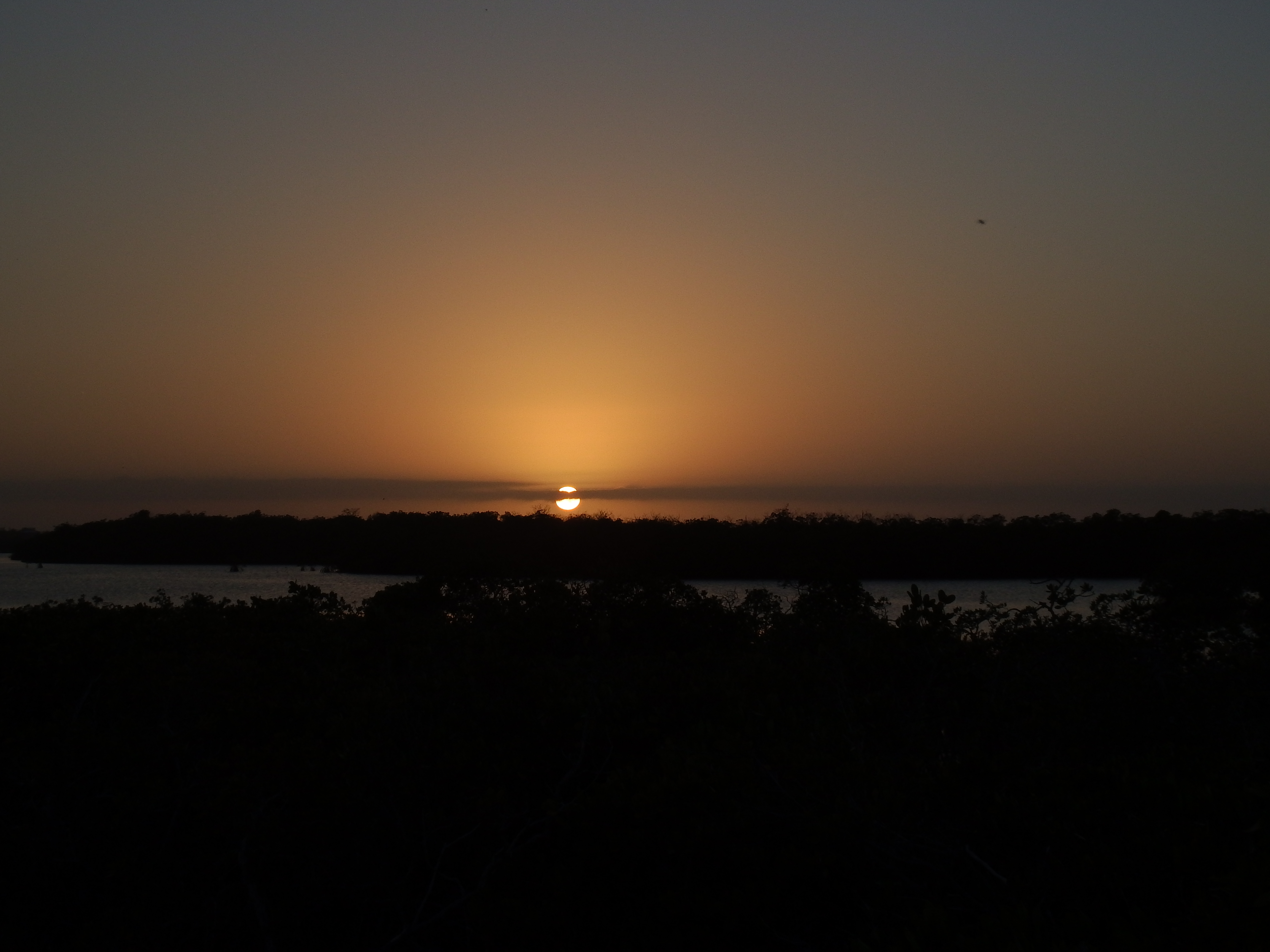 DSCF1208.JPG\n4,292.56 KB \n4608 x 3456 \n2/23/15\n