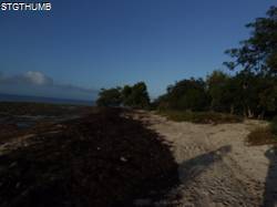 DSCF1234.JPG
6,383.78 KB
4608 x 3456
2/23/15