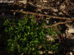 DSCF1237.JPG
6,546.66 KB
4608 x 3456
2/23/15