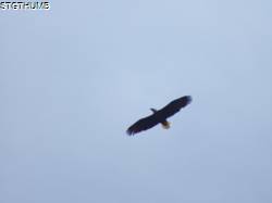 DSCF1054.JPG
5,237.61 KB
4608 x 3456
2/15/15