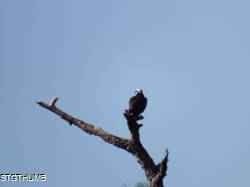 DSCF1071.JPG
5,896.25 KB
4608 x 3456
2/15/15